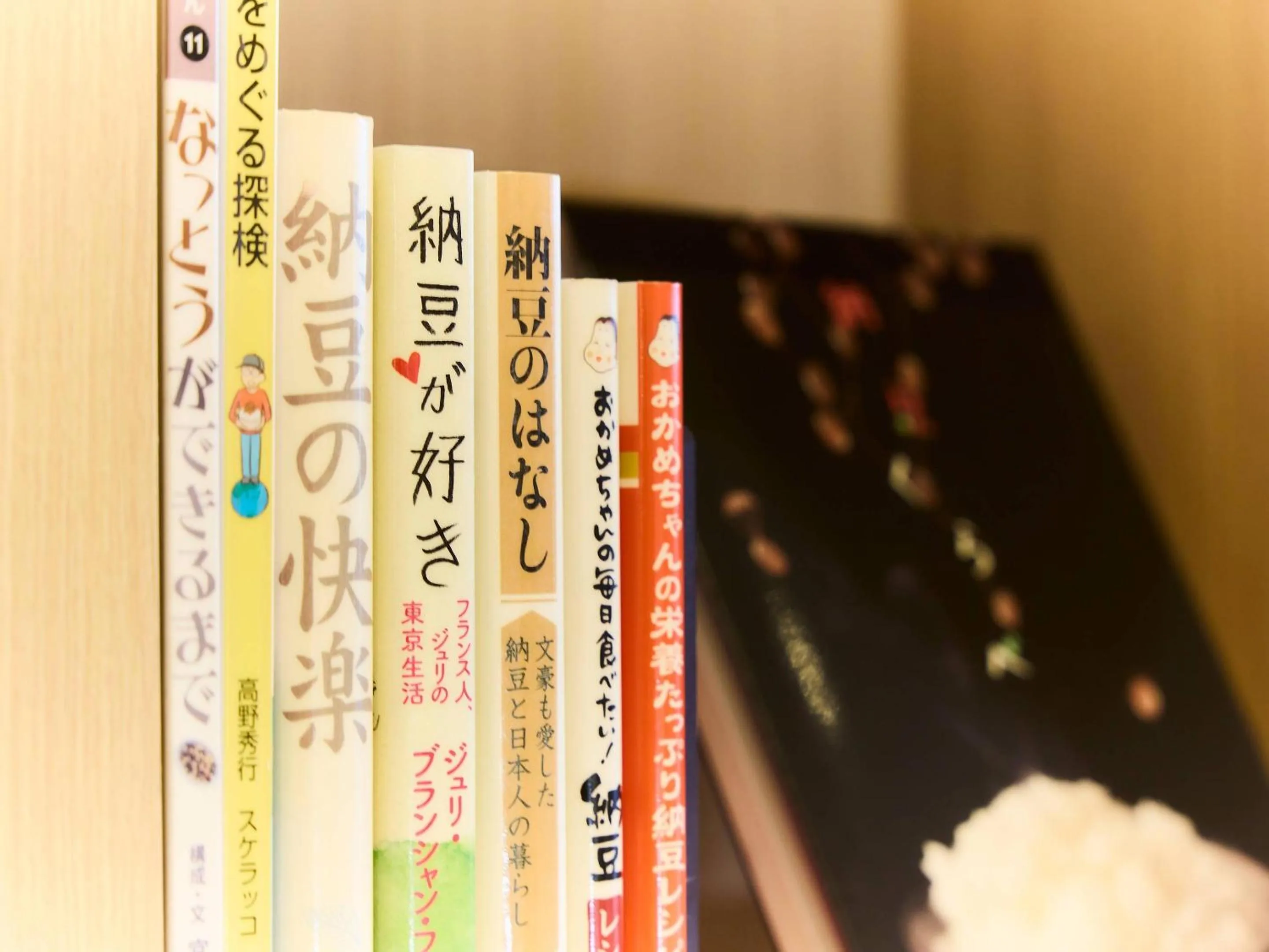 Other in Comfort Hotel Mito