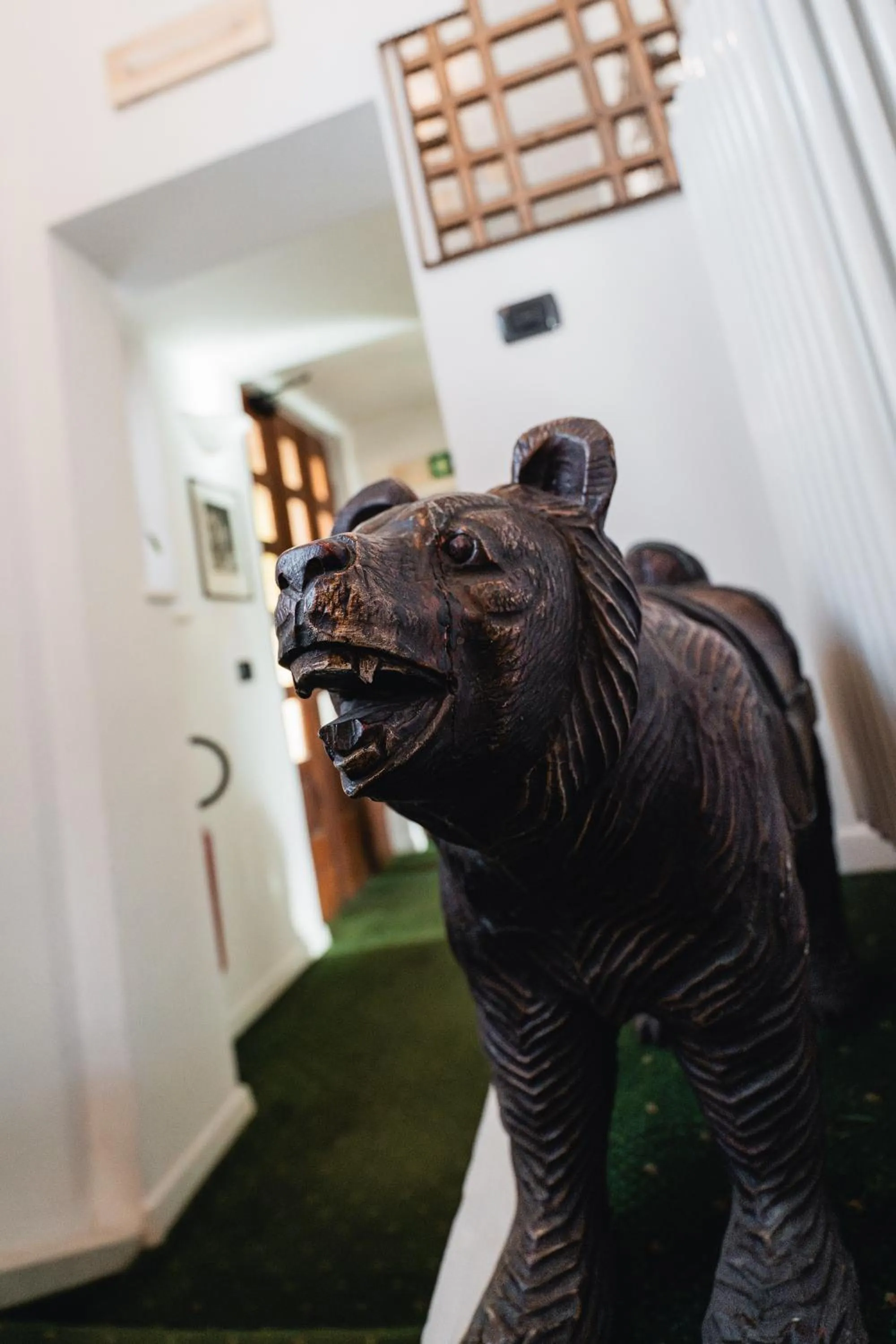 furniture in Hotel Oasi