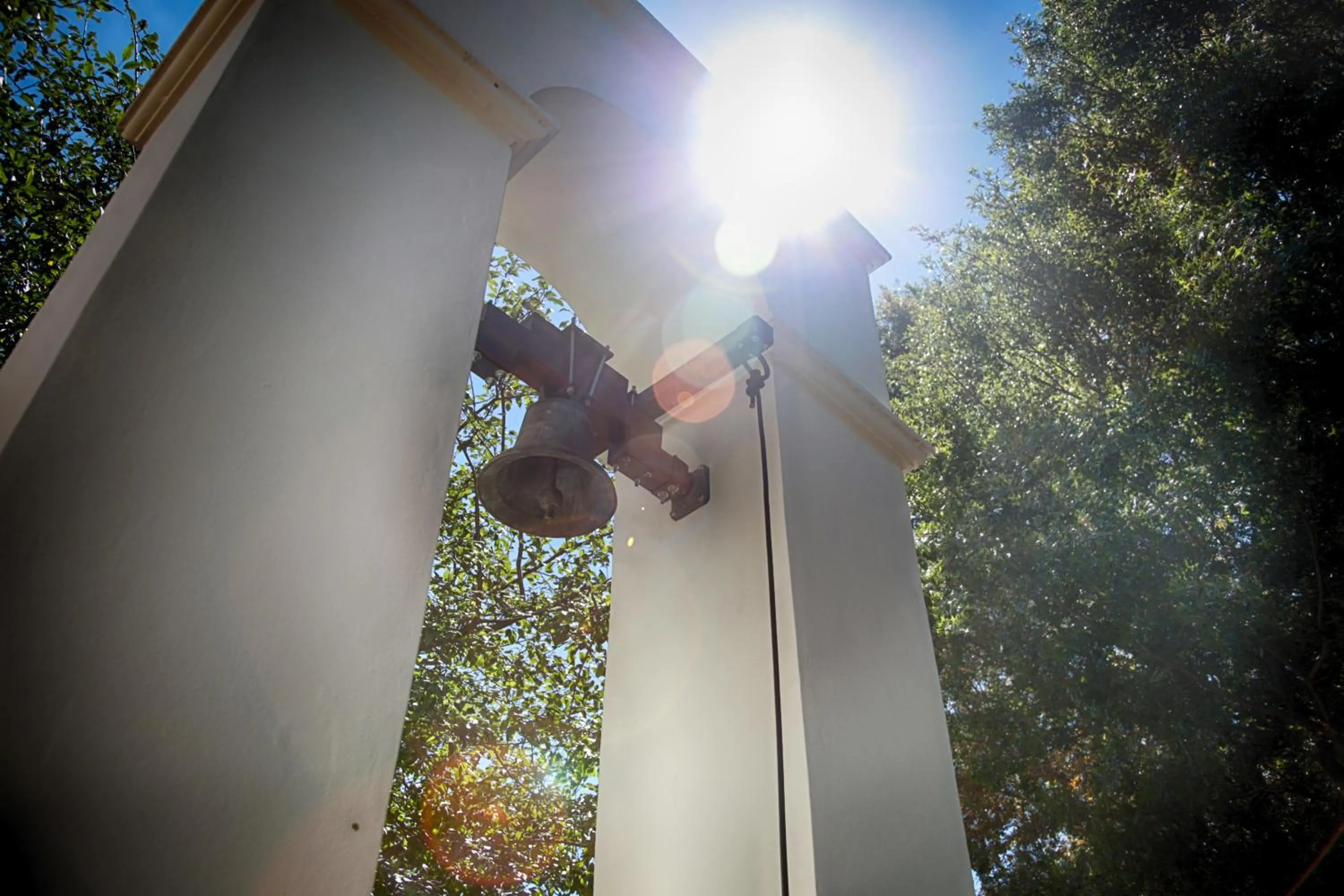 Garden in Kleine Constantia Boutique Guest House