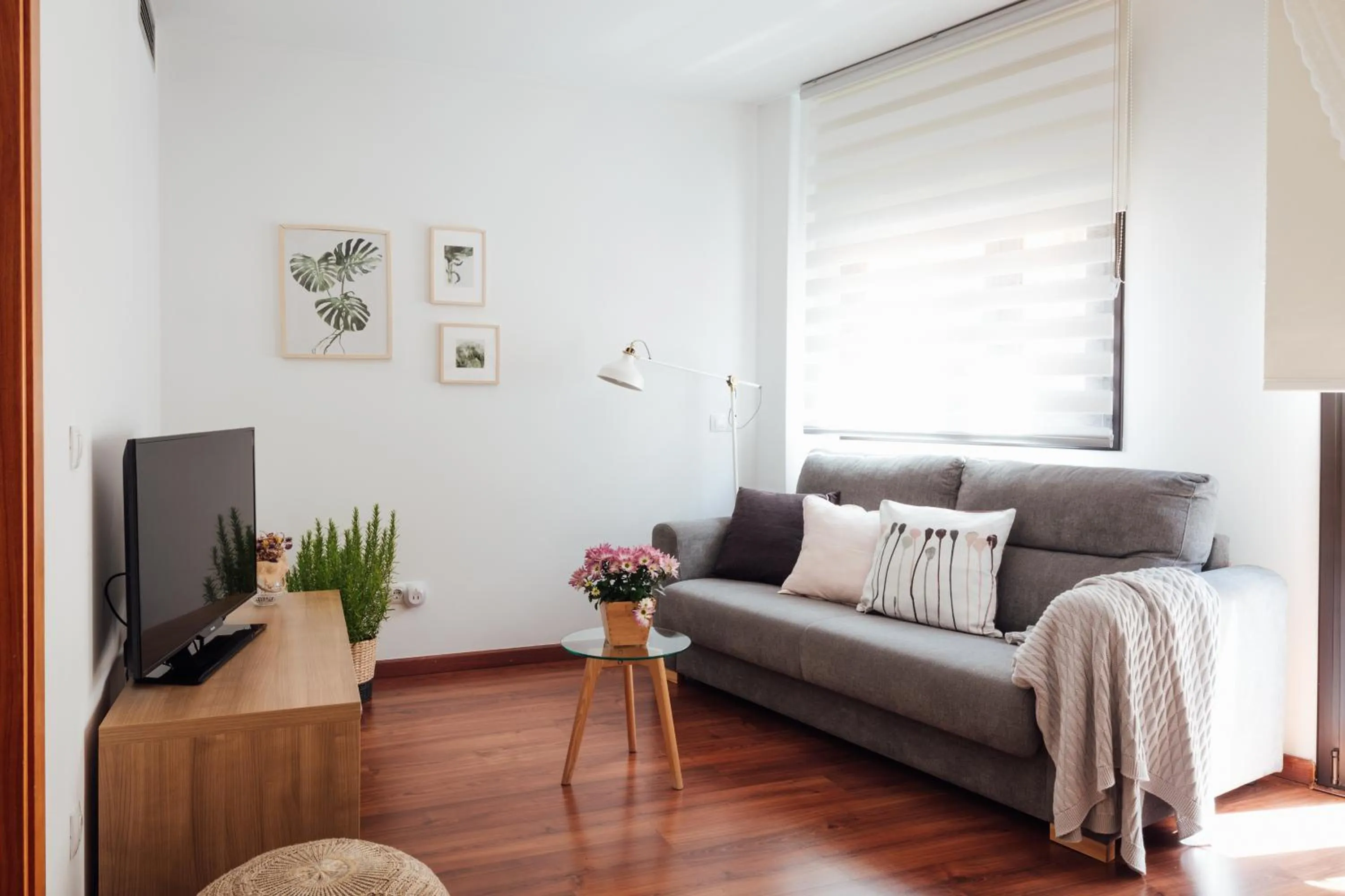 TV and multimedia in Little Home Girona