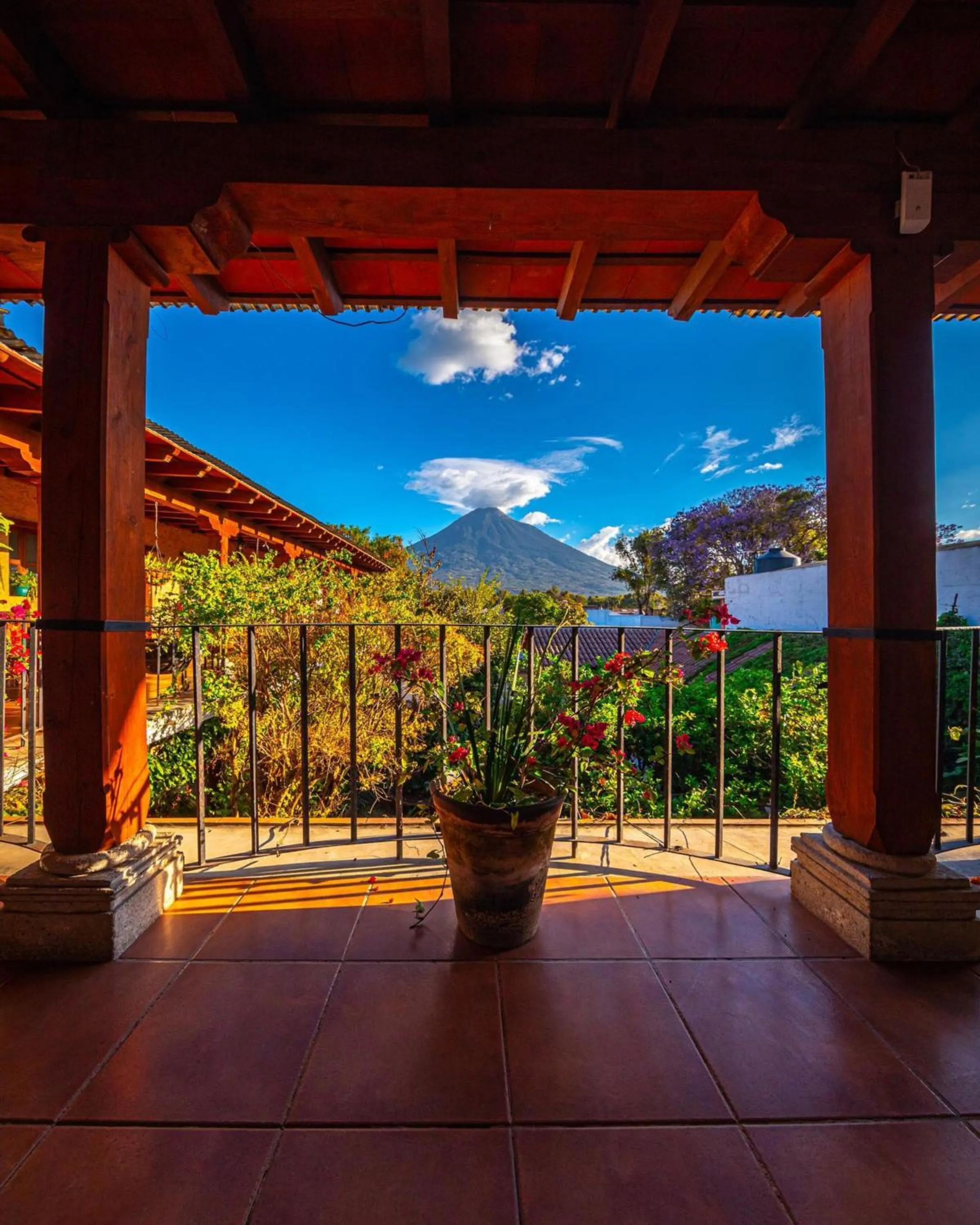 Garden view in Naif Boutique Hotel