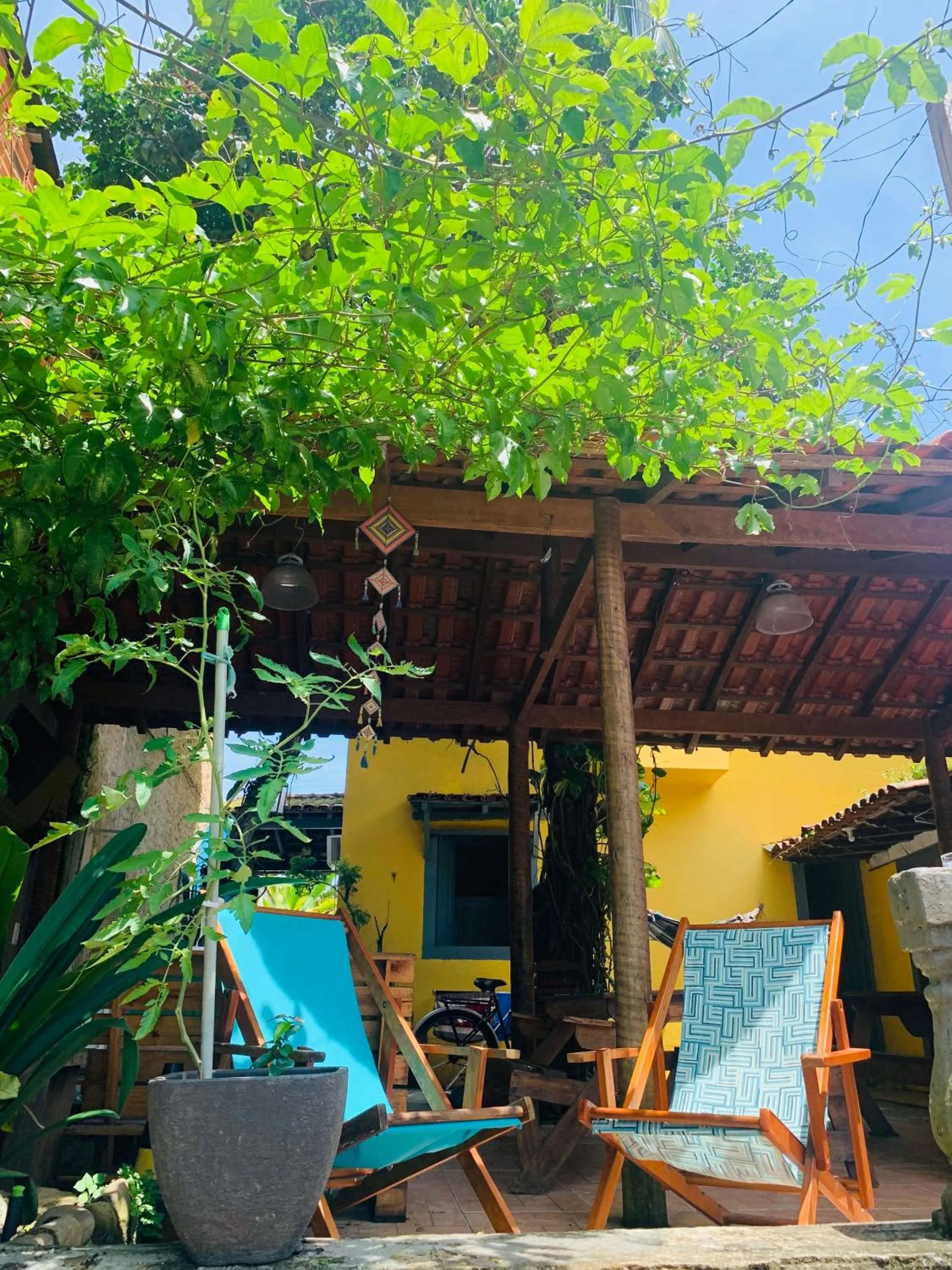 Garden in Maracujá Hostel