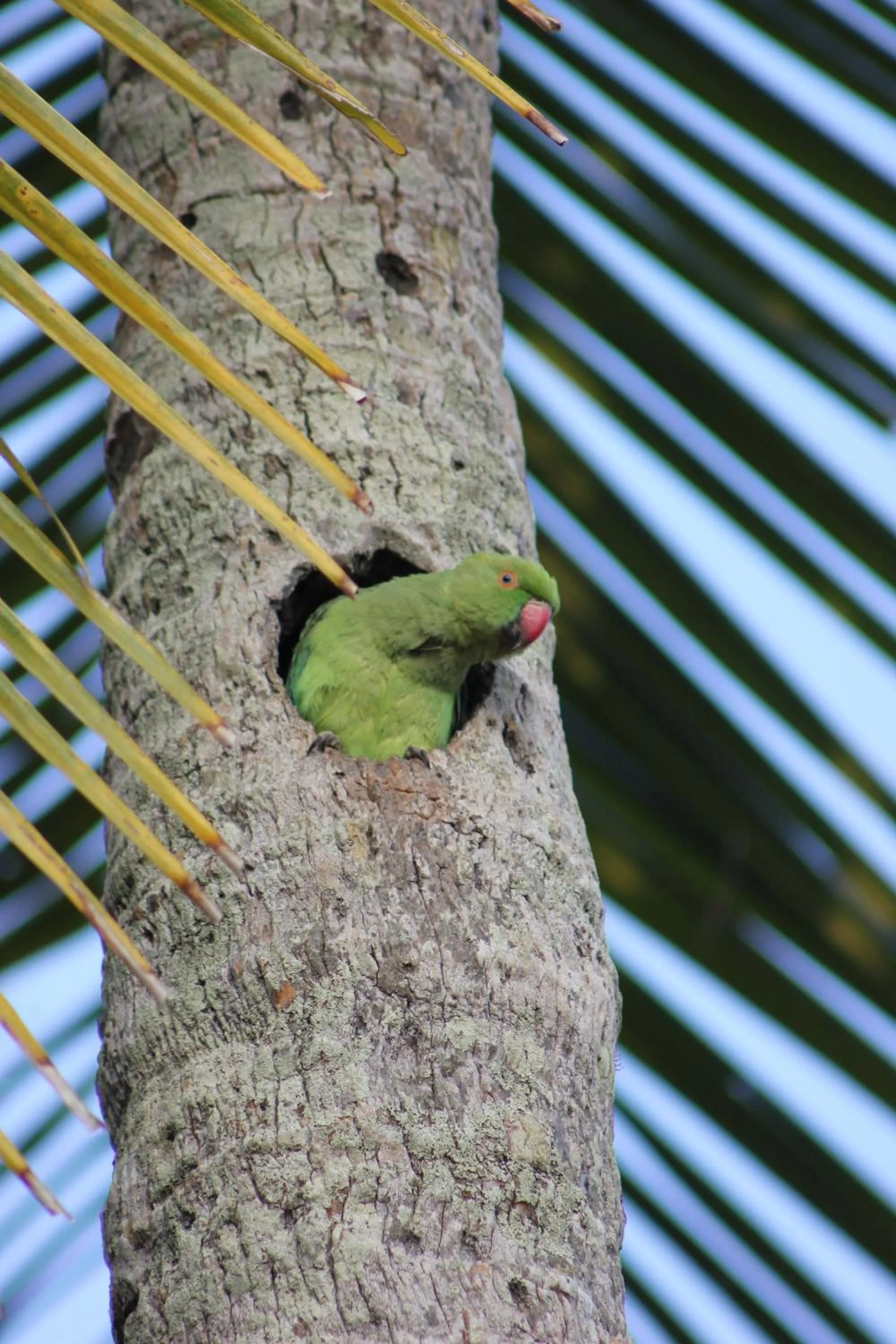 Other in Hideaway Lodge