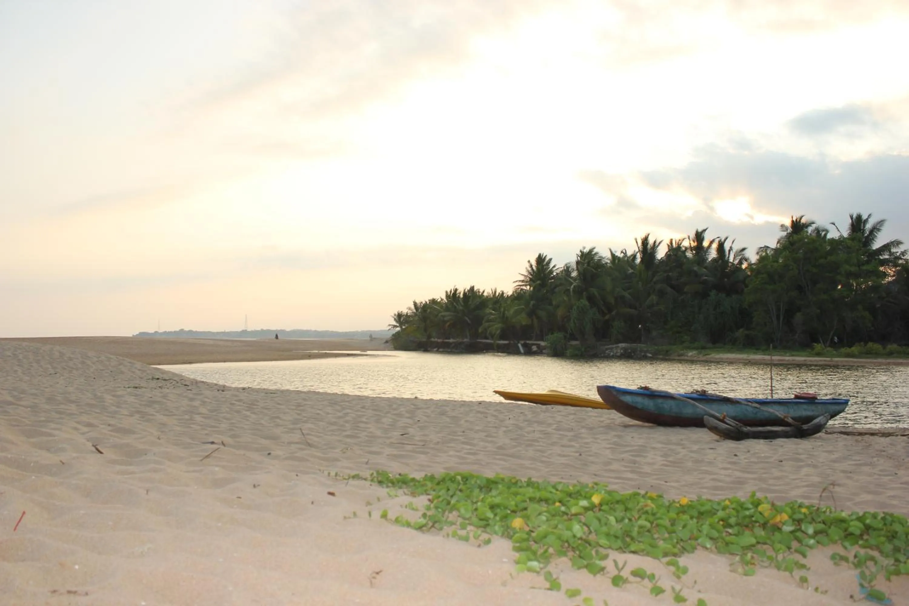 Natural landscape in Hideaway Lodge