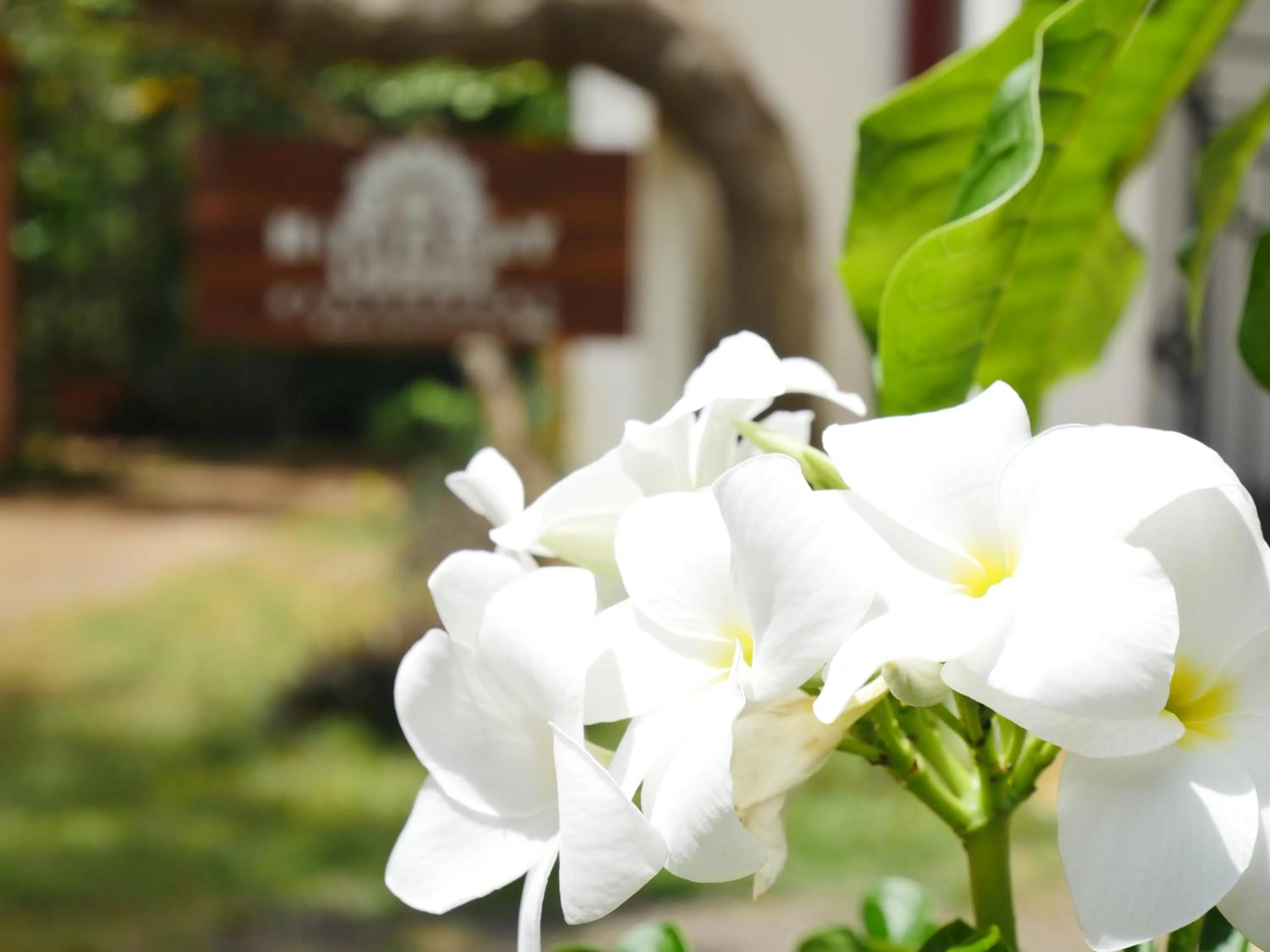 Garden in Hideaway Lodge