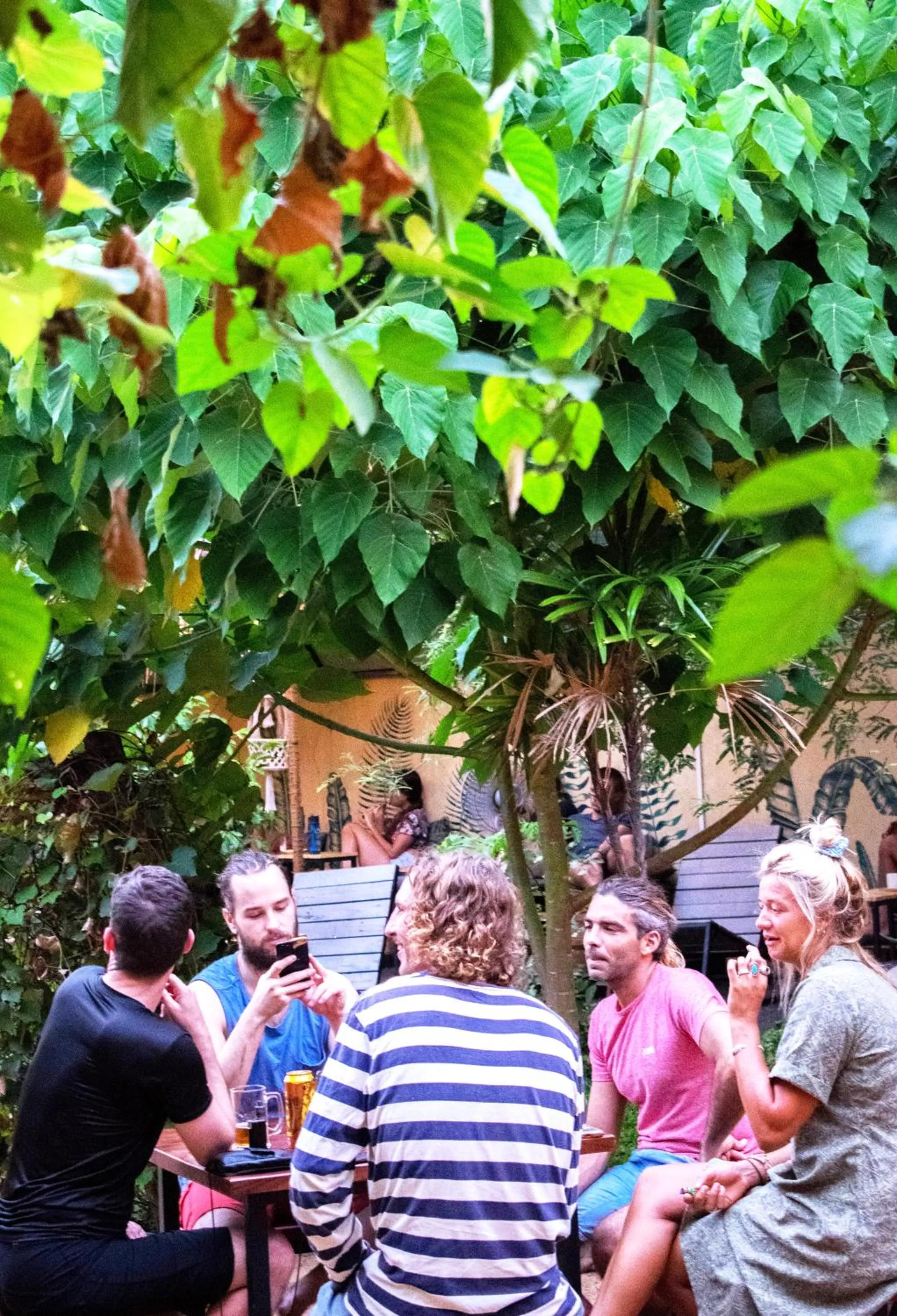 Restaurant/places to eat in The Spice Trail