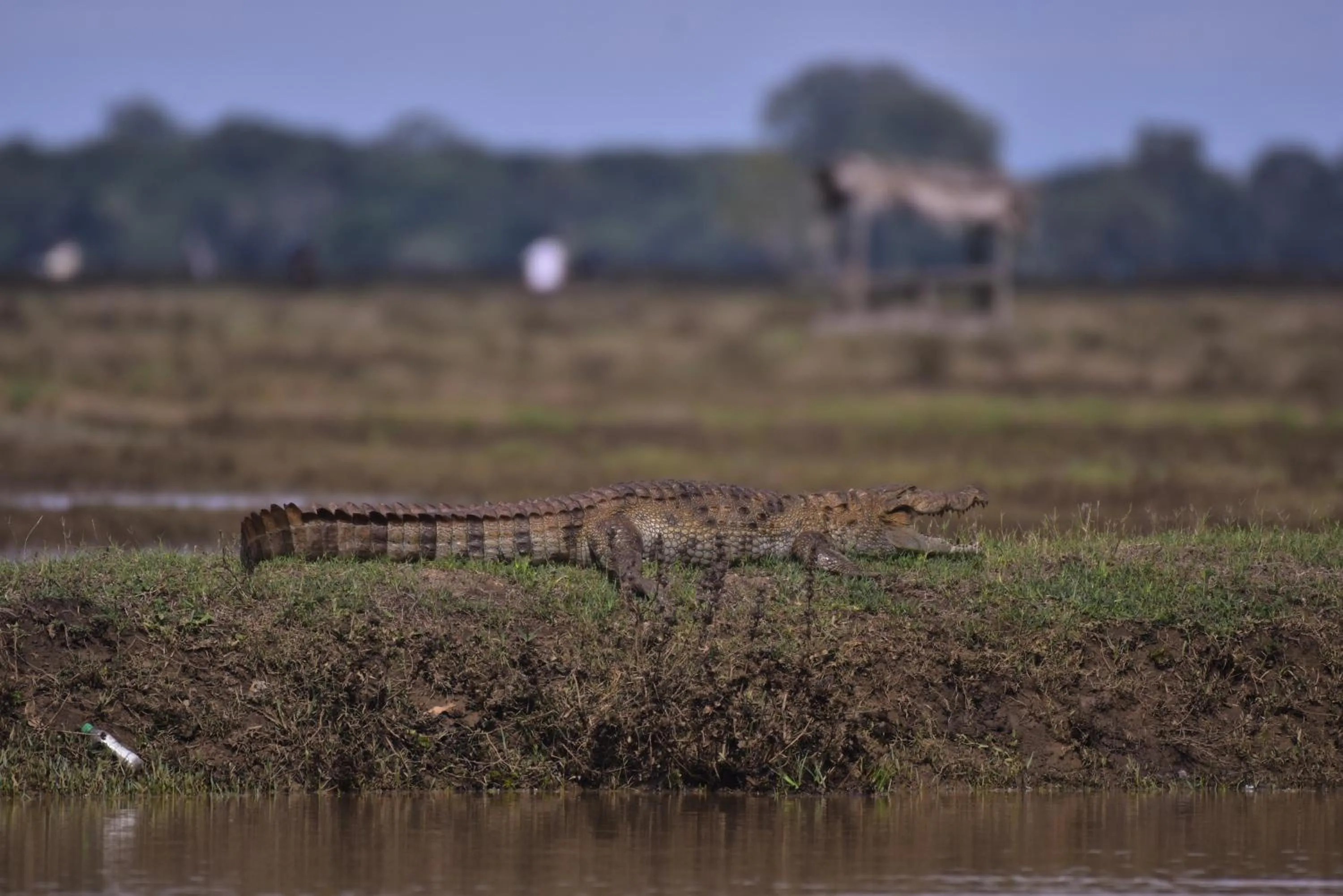 Neighbourhood in The Spice Trail