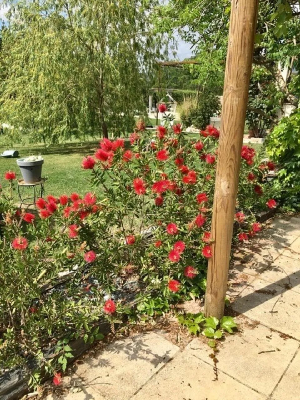 Garden view in La Vignarelle