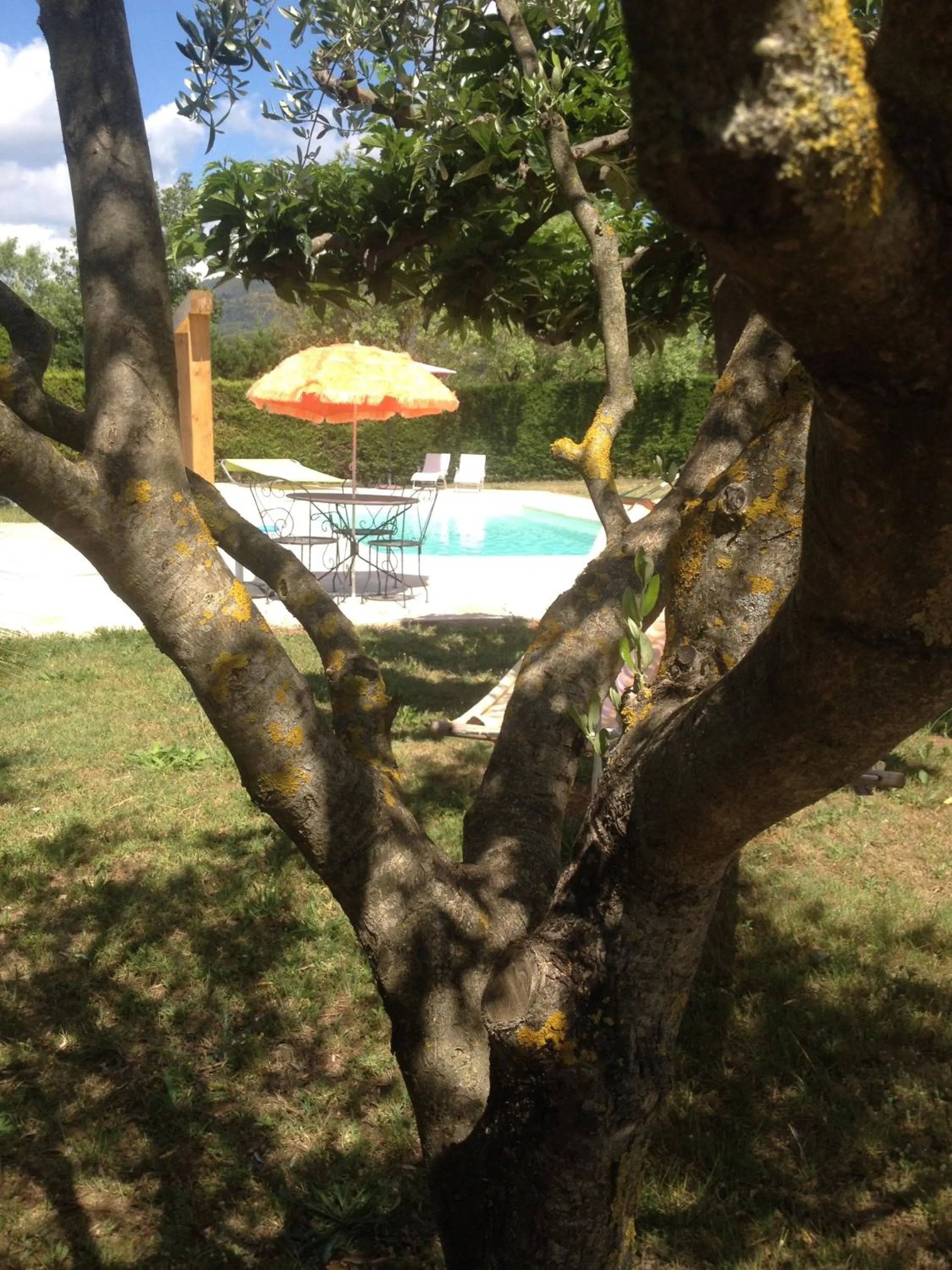 Garden in La Vignarelle