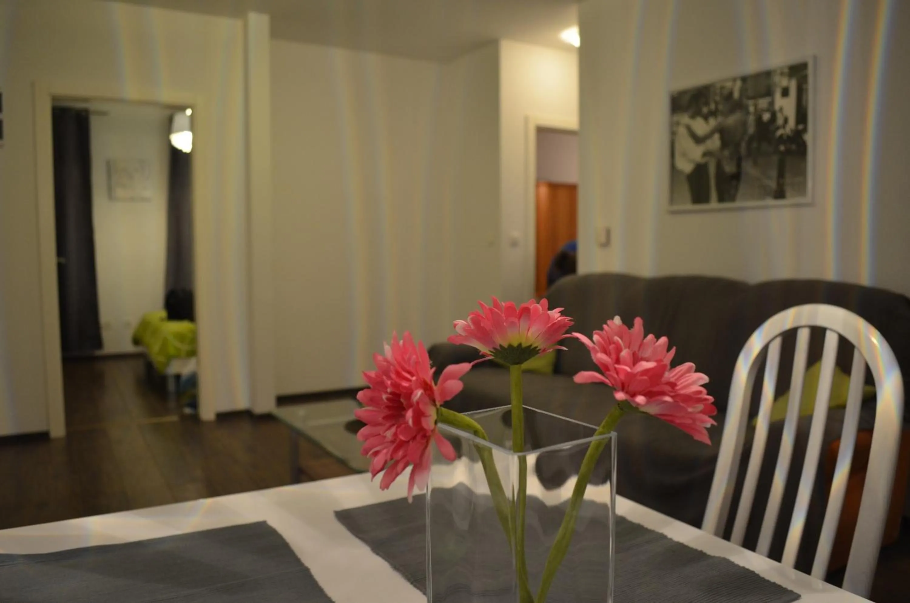 Apartment Meli