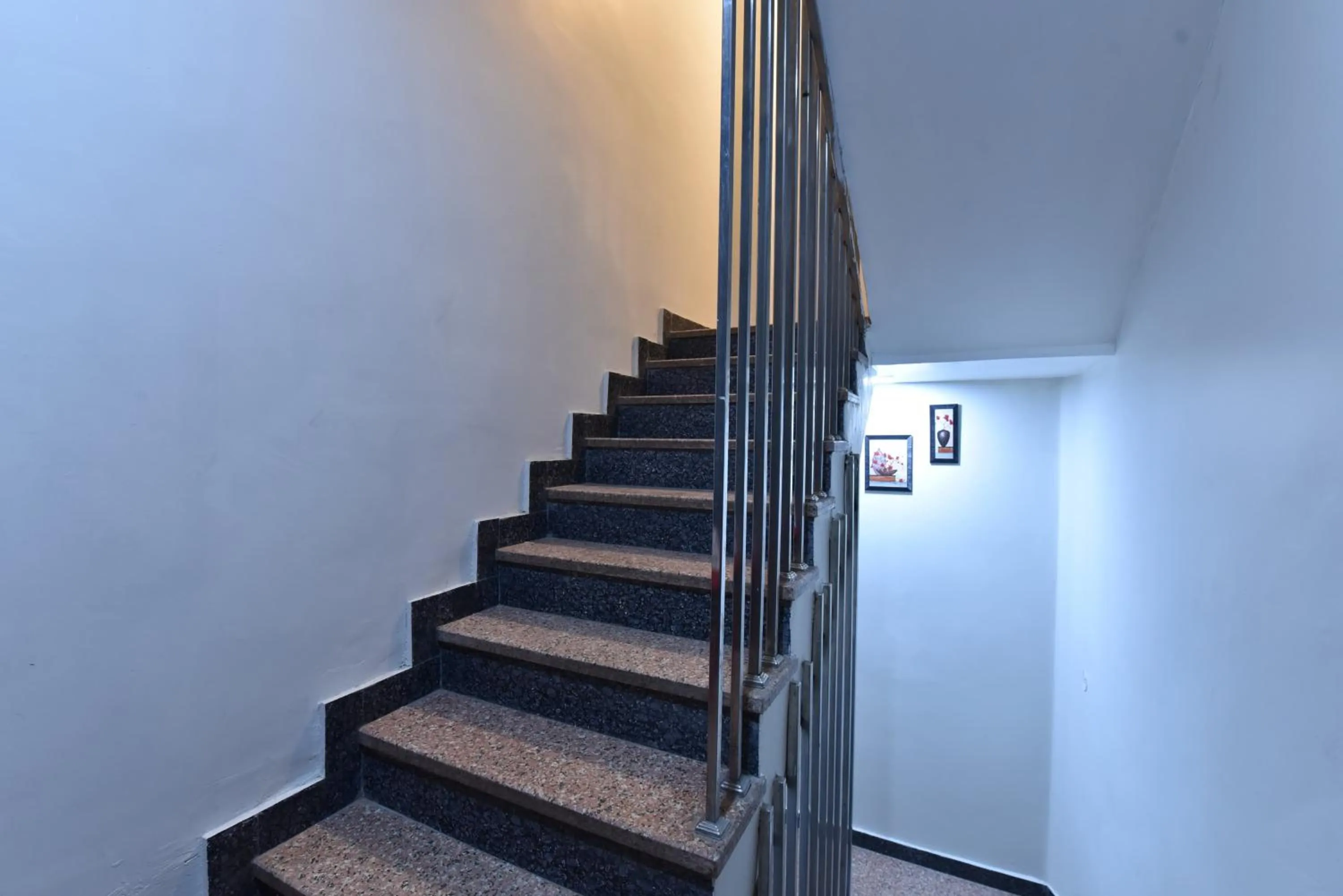 Area and facilities in Hotel Kailash Villa