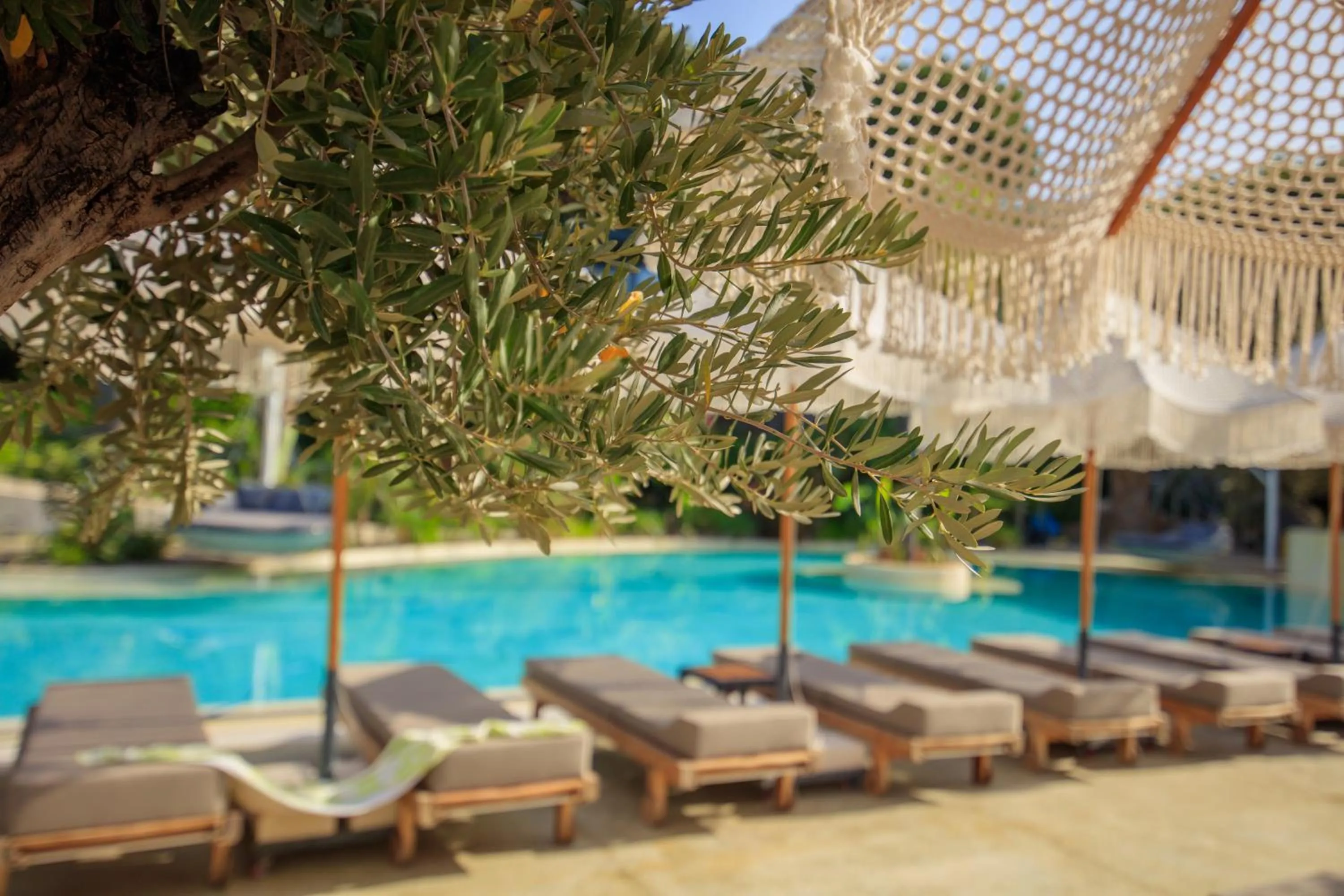 Swimming pool in Morina Deluxe Hotel