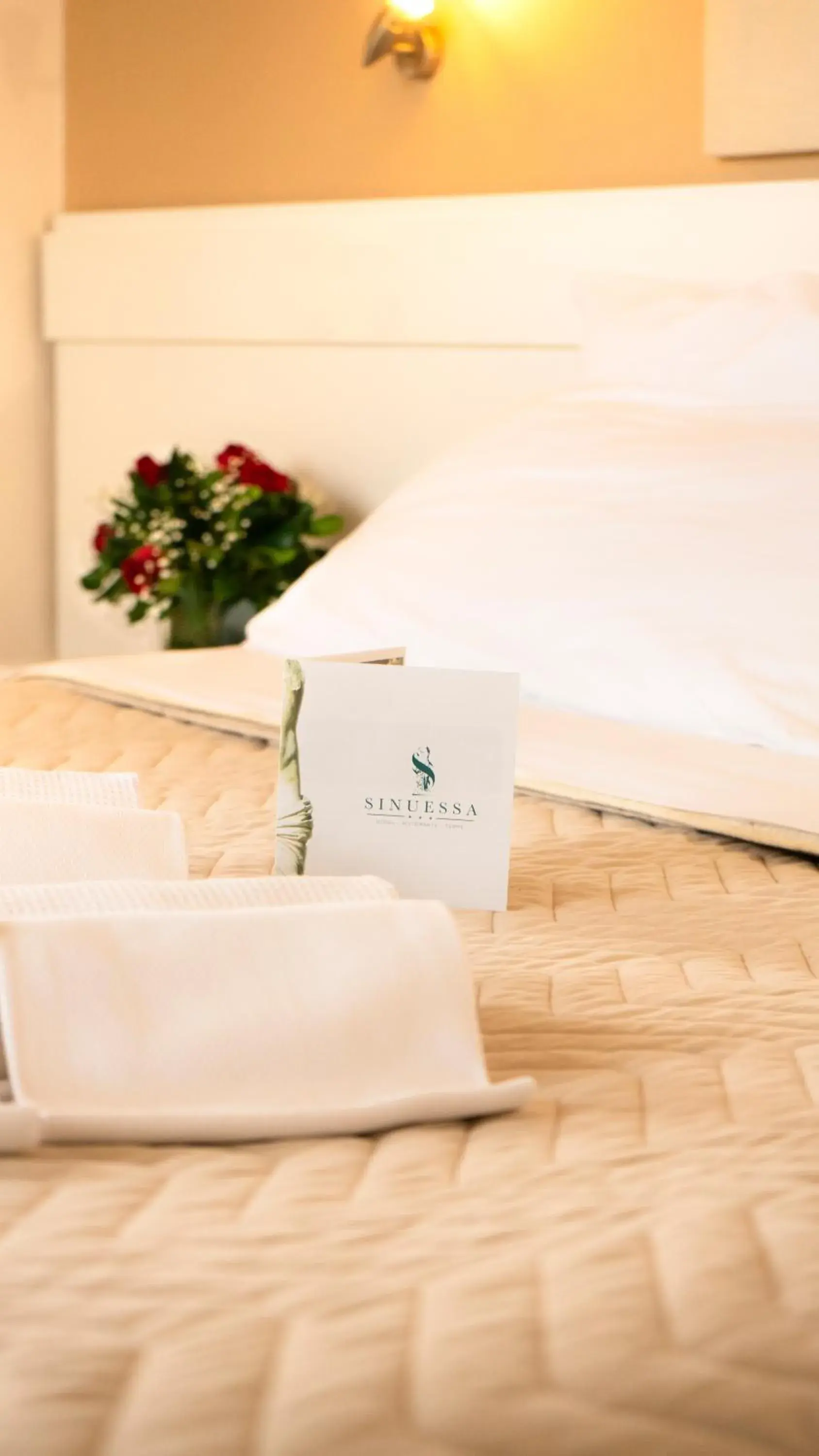 Double or Twin Room with Side Sea View in Hotel Sinuessa Terme Double or Twin Room with Side Sea View in Hotel Sinuessa Terme