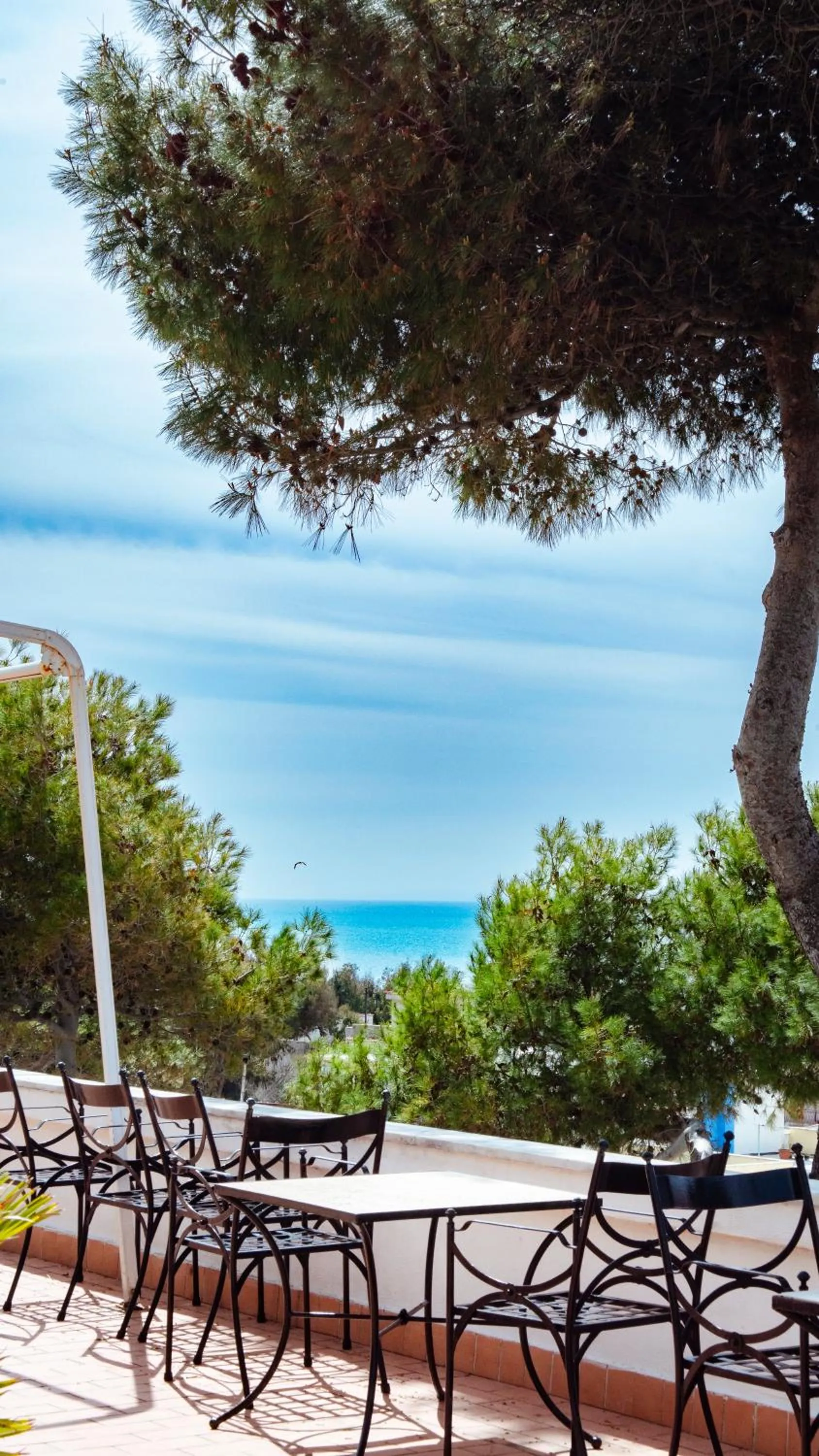 Balcony/Terrace in Hotel Sinuessa Terme