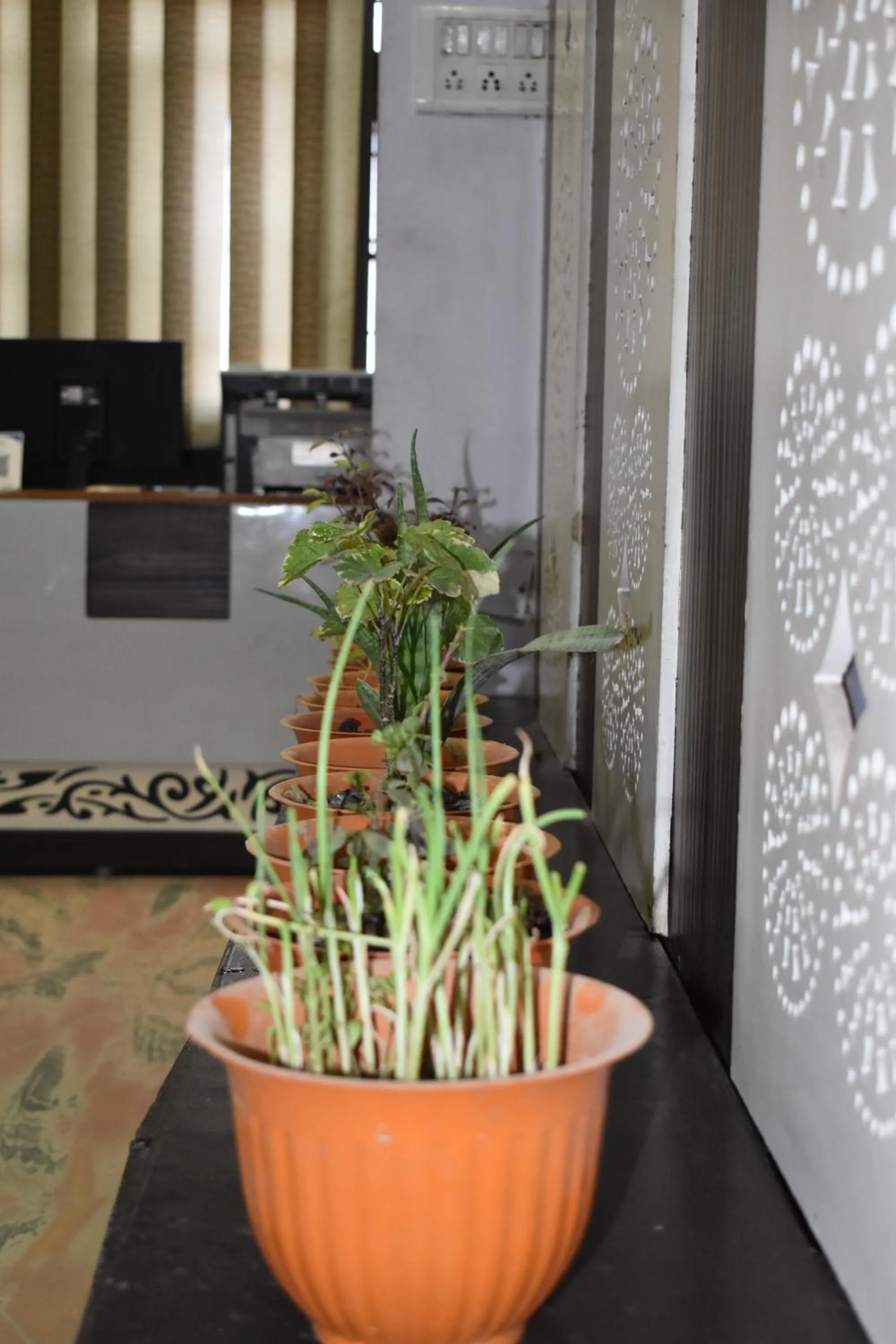 Lobby or reception in Hotel Mrk