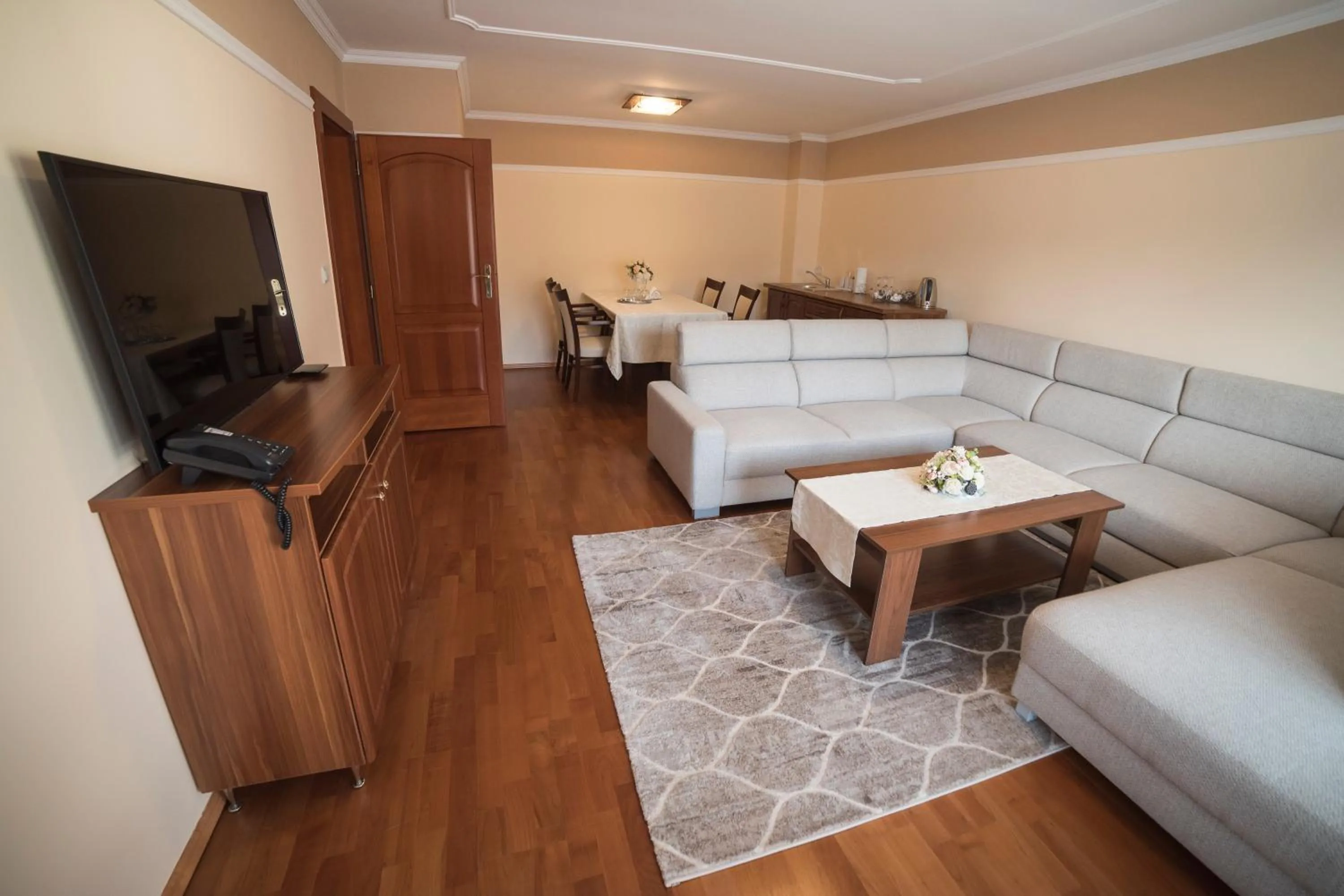 TV and multimedia in Hotel Alfa