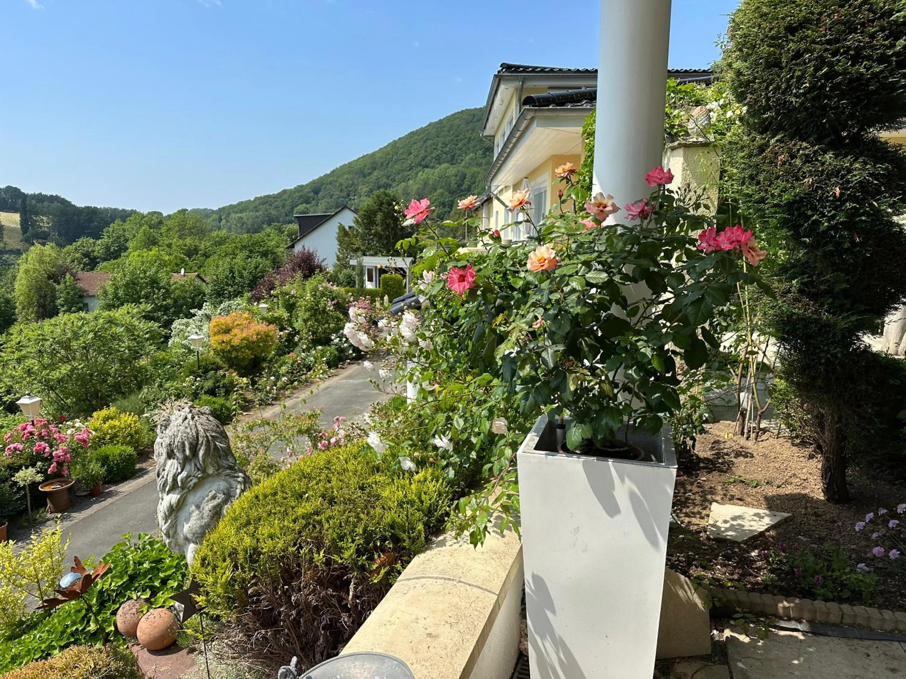 Garden in Villa Schaumburg - Boutique Hotel