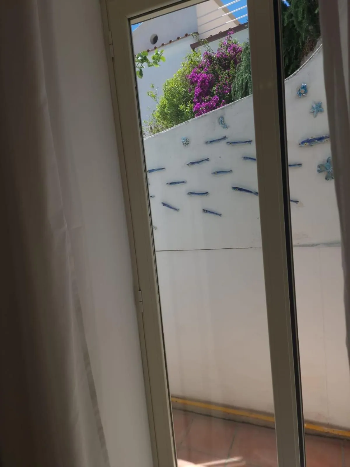 View (from property/room) in Hotel La Perla