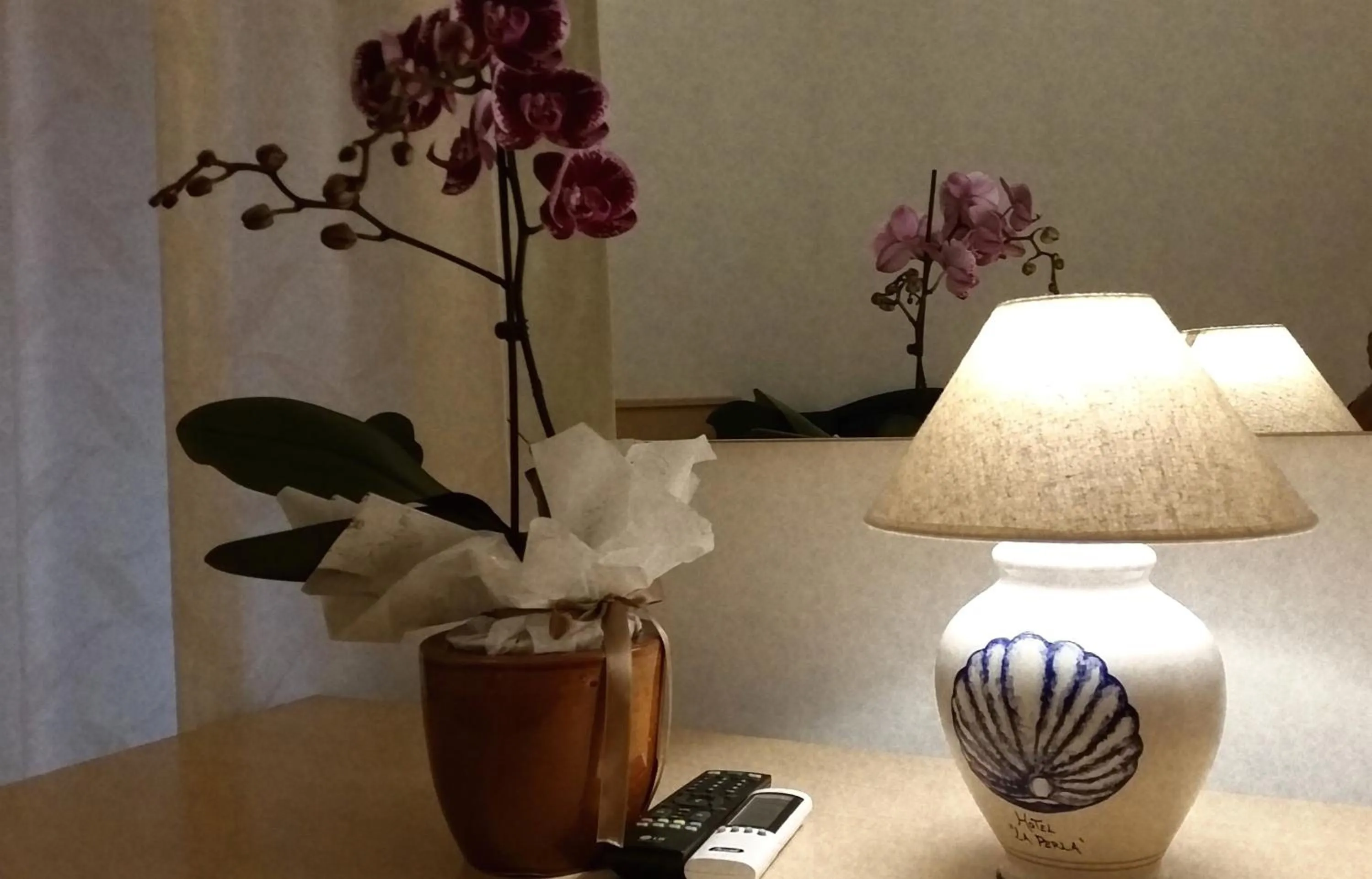 Photo of the whole room in Hotel La Perla