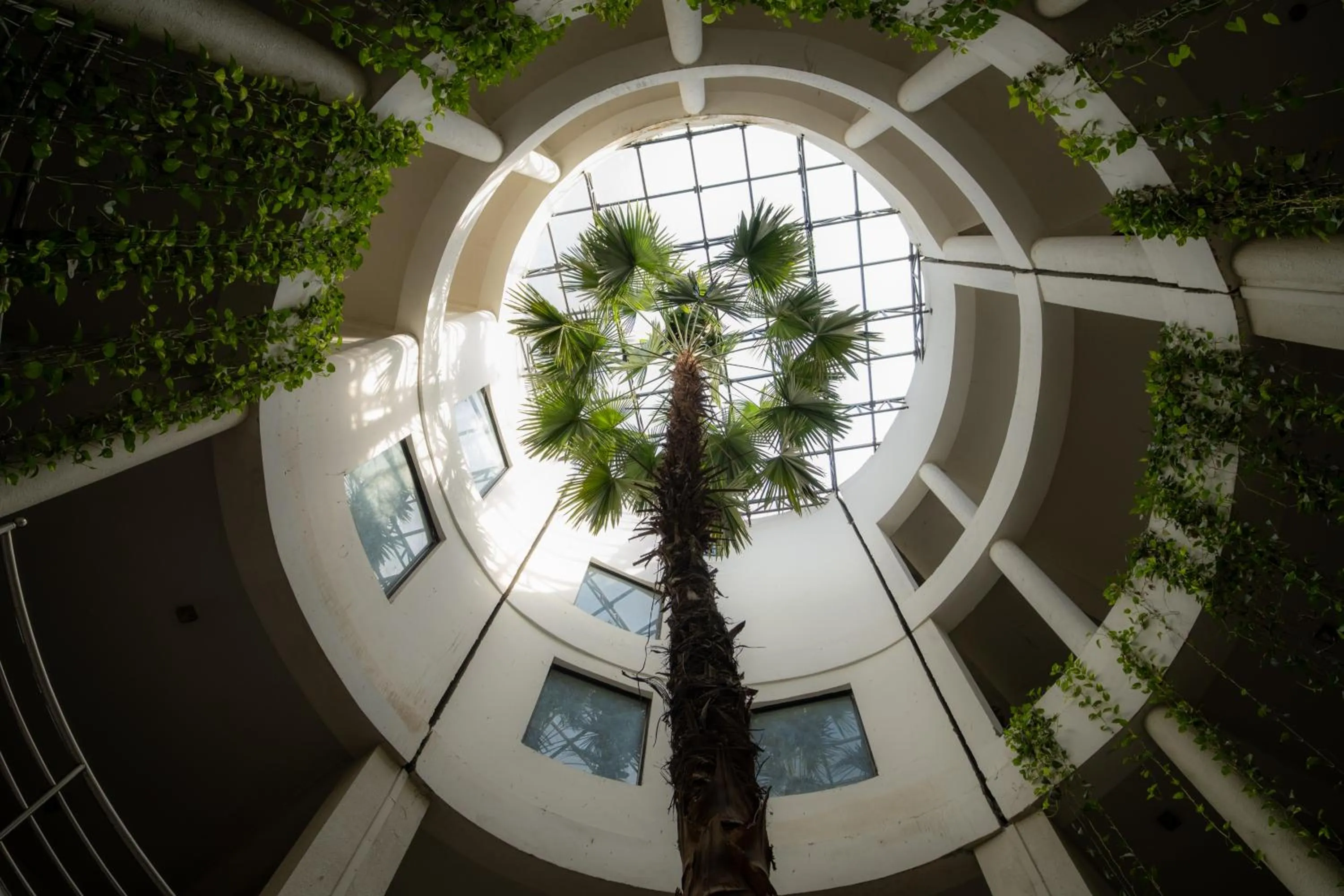 Lobby or reception in Siddhartha Hotel Narayangarh