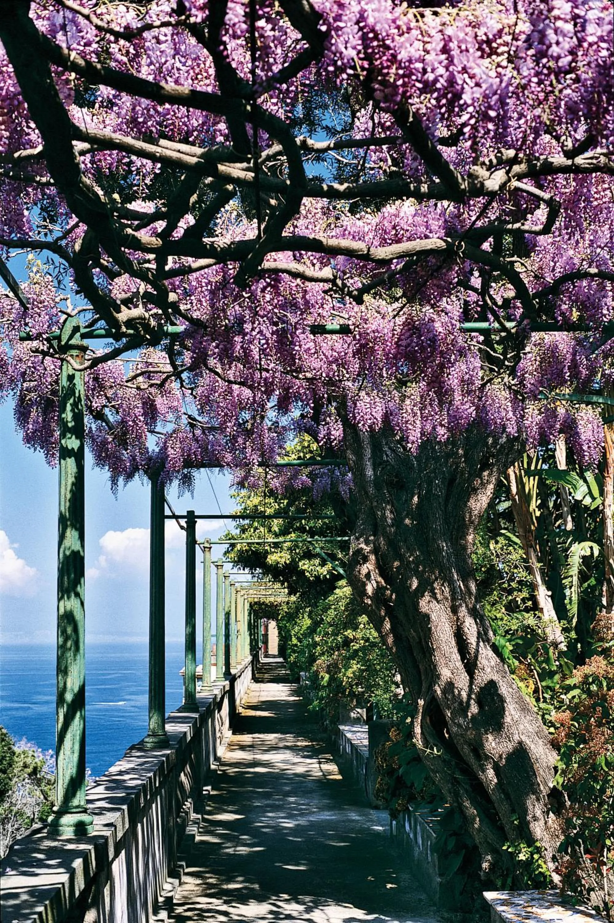 View (from property/room) in Grand Hotel Excelsior Vittoria