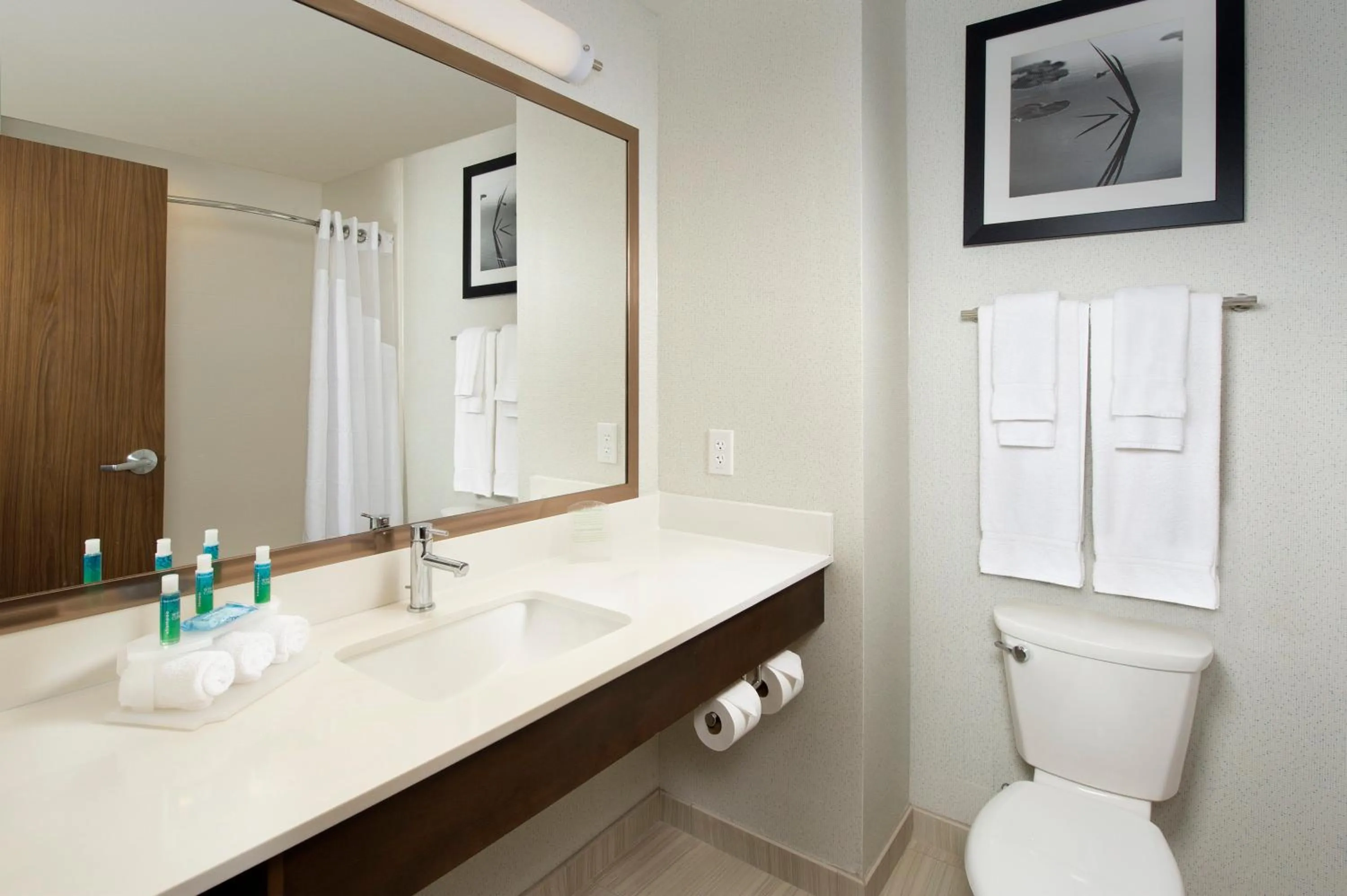 Bathroom in Holiday Inn Express & Suites Bay City by IHG