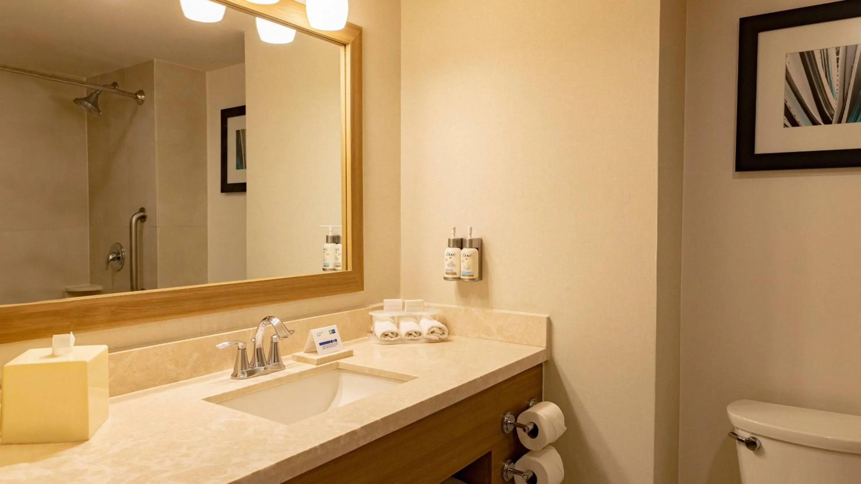 Bedroom in Holiday Inn Express & Suites Chihuahua Juventud by IHG