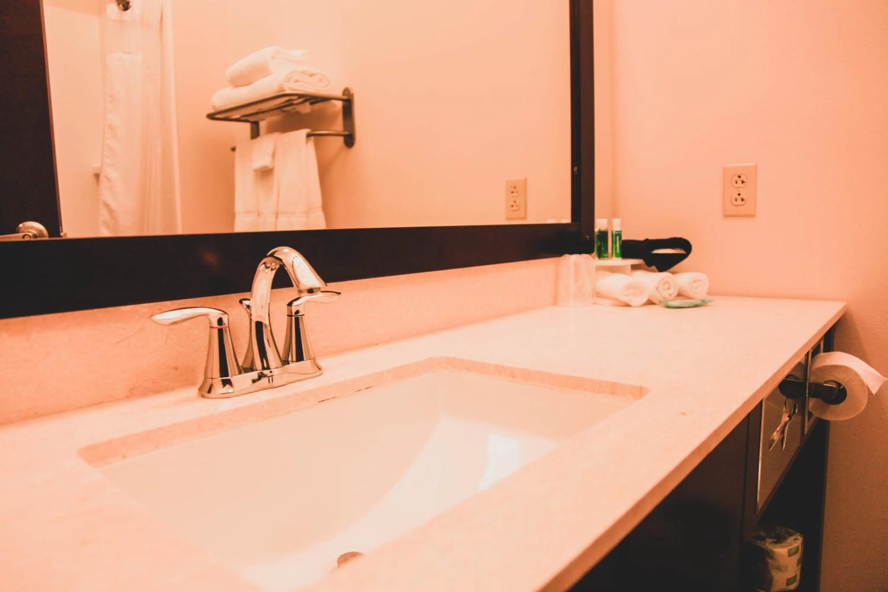 Bathroom in Holiday Inn Express & Suites Cumberland - La Vale by IHG