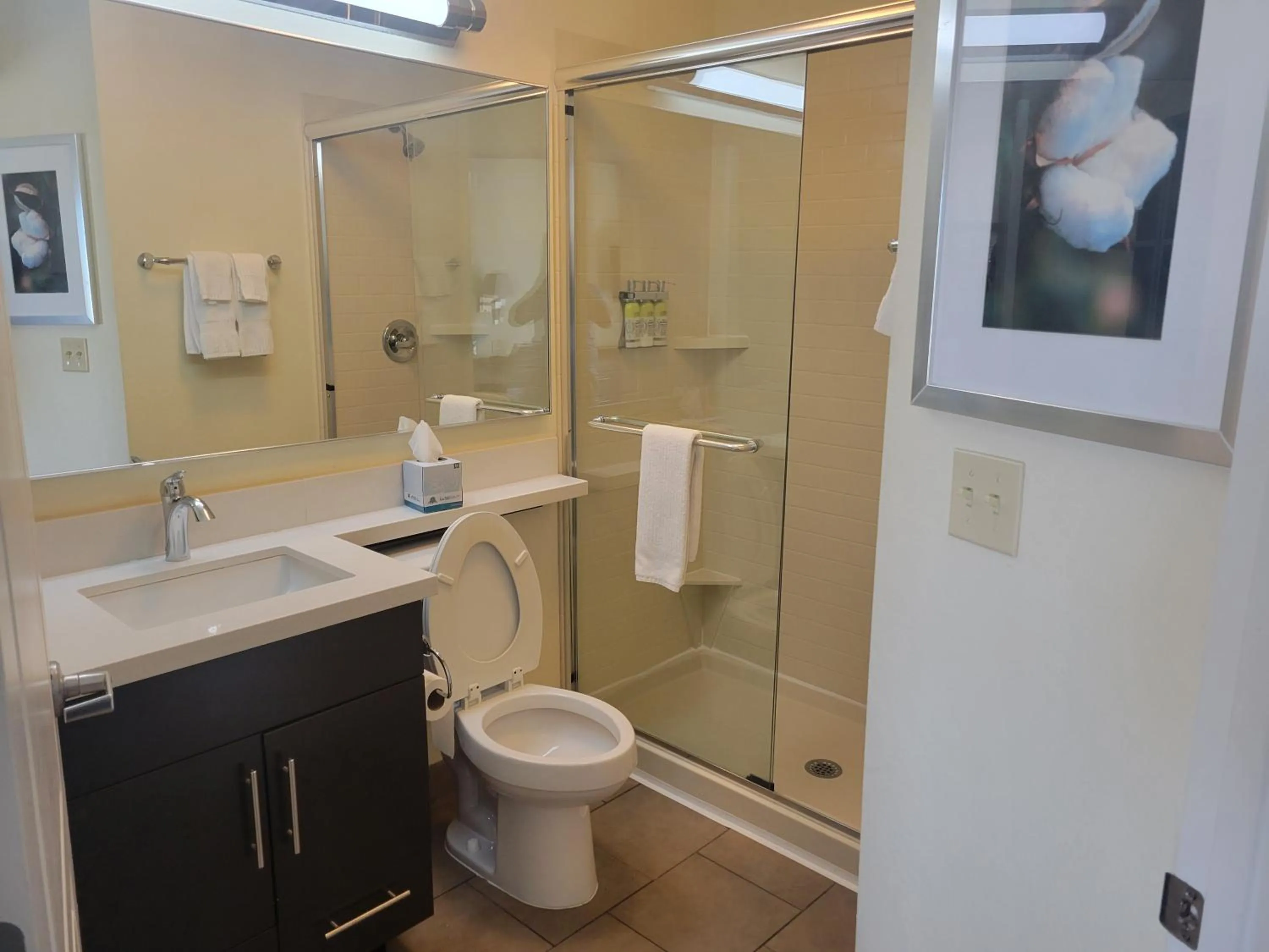 Shower in Candlewood Suites Smyrna - Nashville by IHG