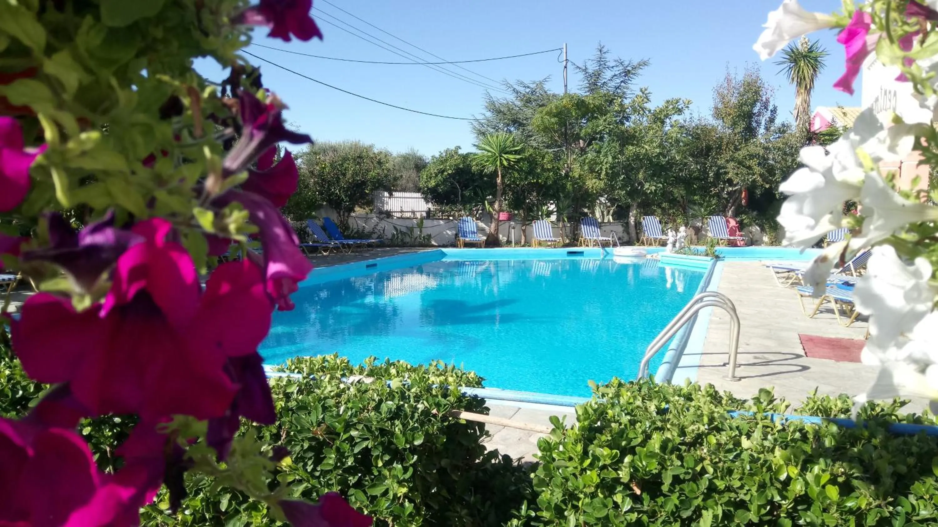 Pool view in Flamingo Apartments Moraitika Corfu