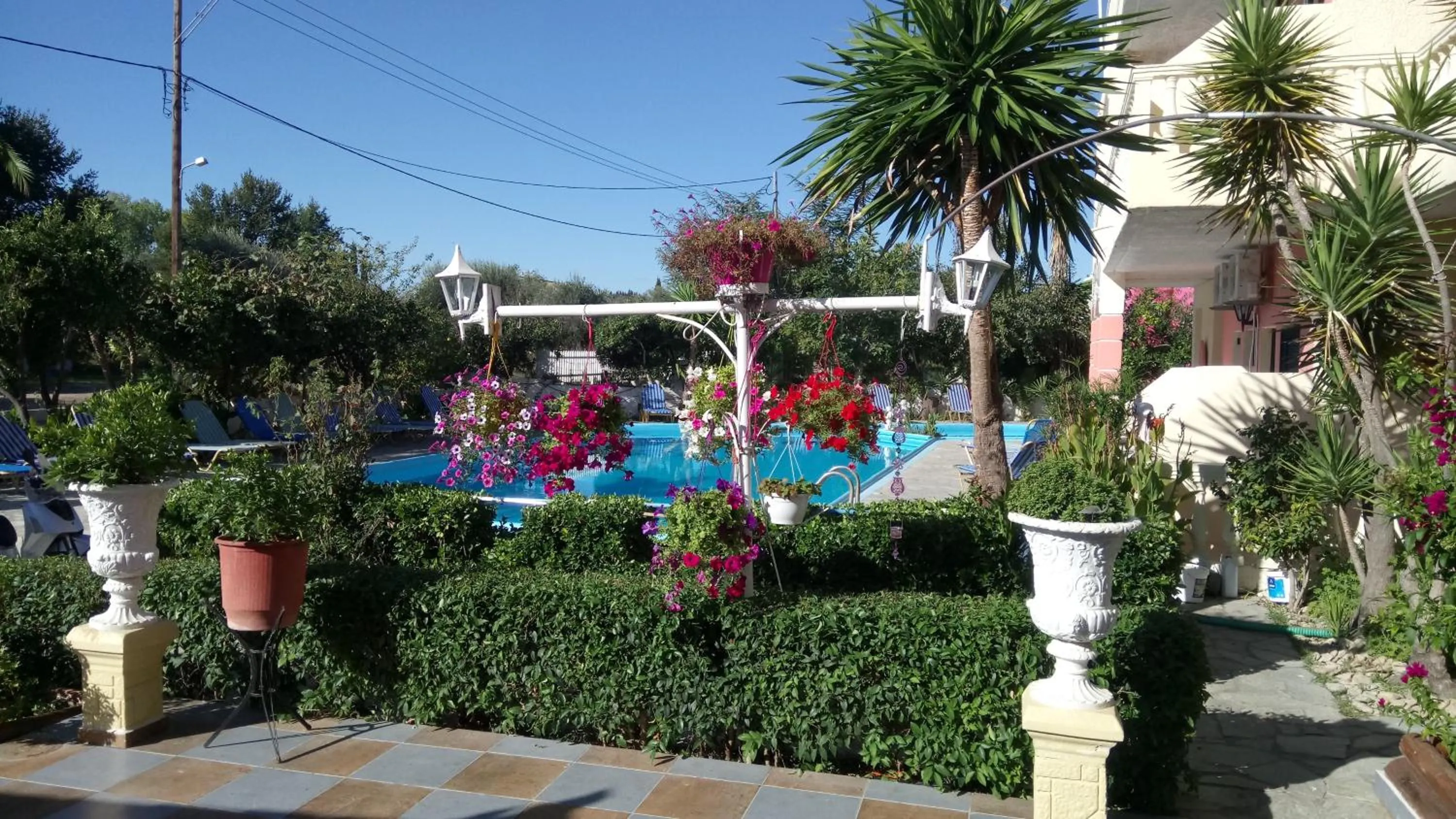 Area and facilities in Flamingo Apartments Moraitika Corfu