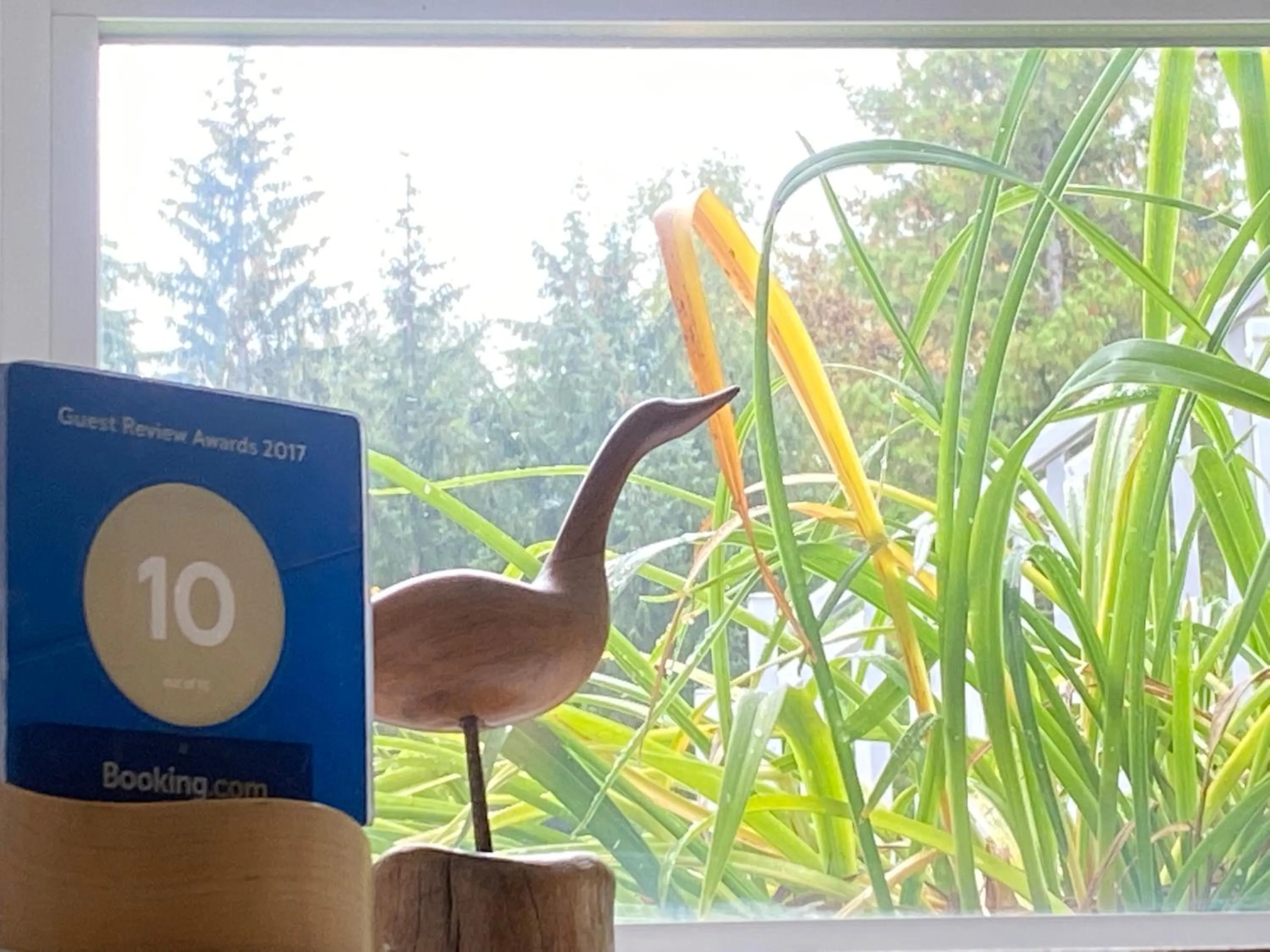 Certificate/Award in Remo Ridge Bed N Breakfast