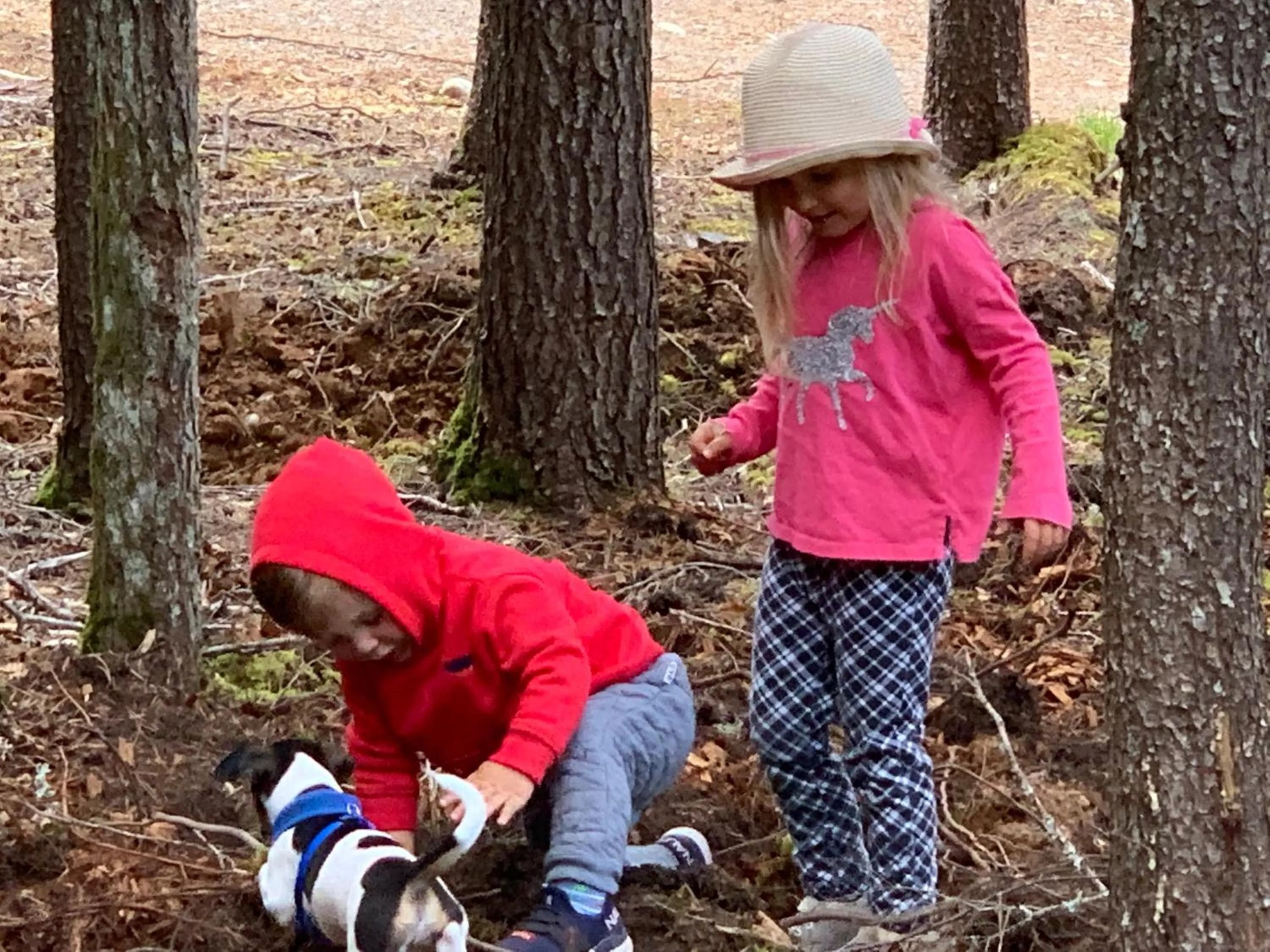 View (from property/room) in Remo Ridge Bed N Breakfast