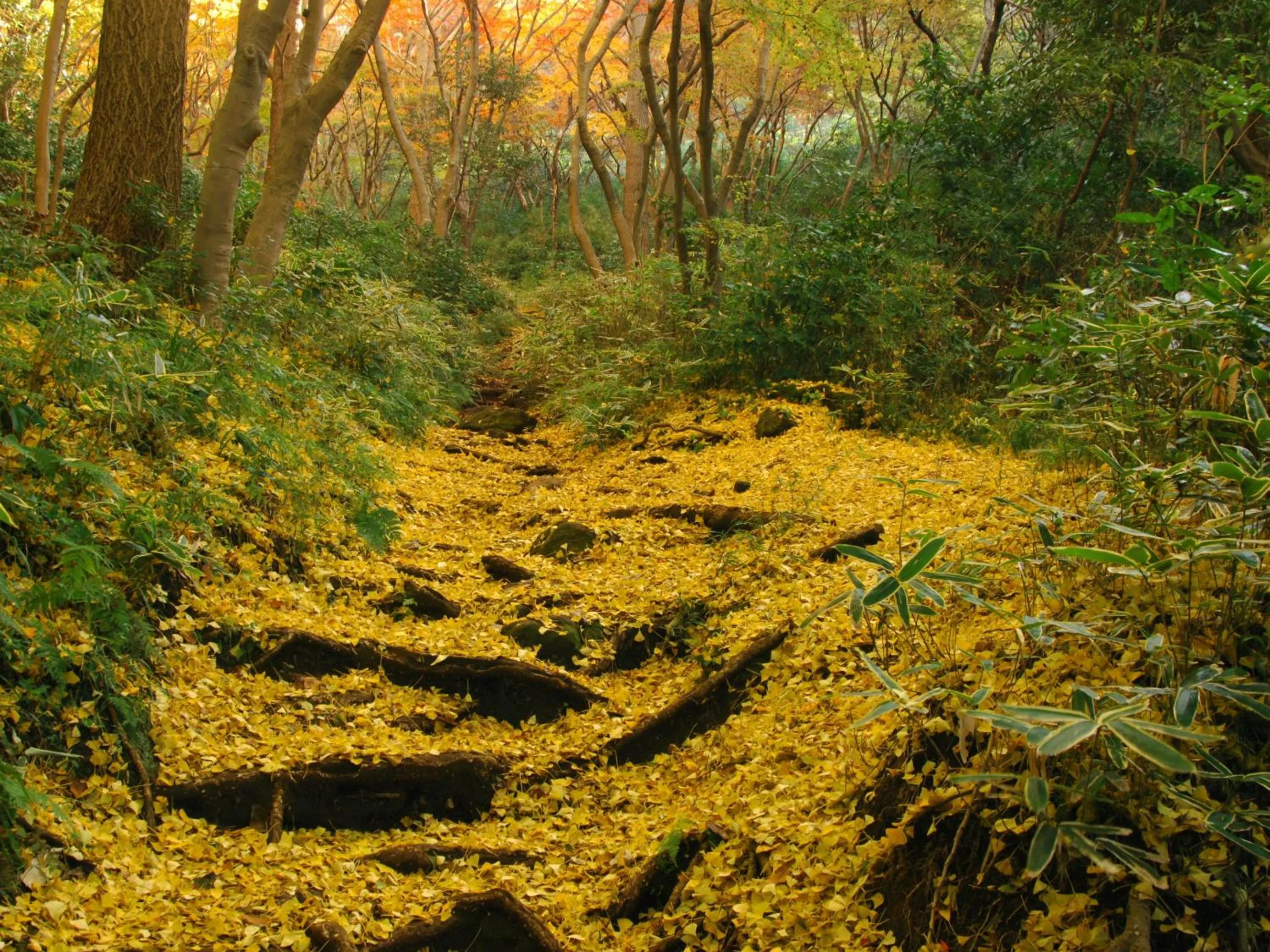 Nearby landmark in Kaihinsou Kamakura
