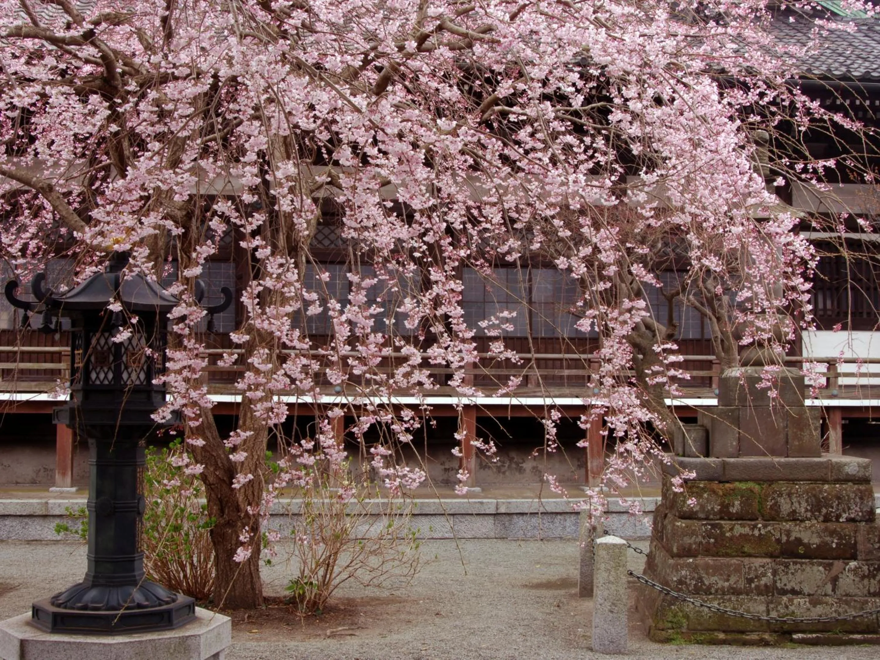 Nearby landmark in Kaihinsou Kamakura