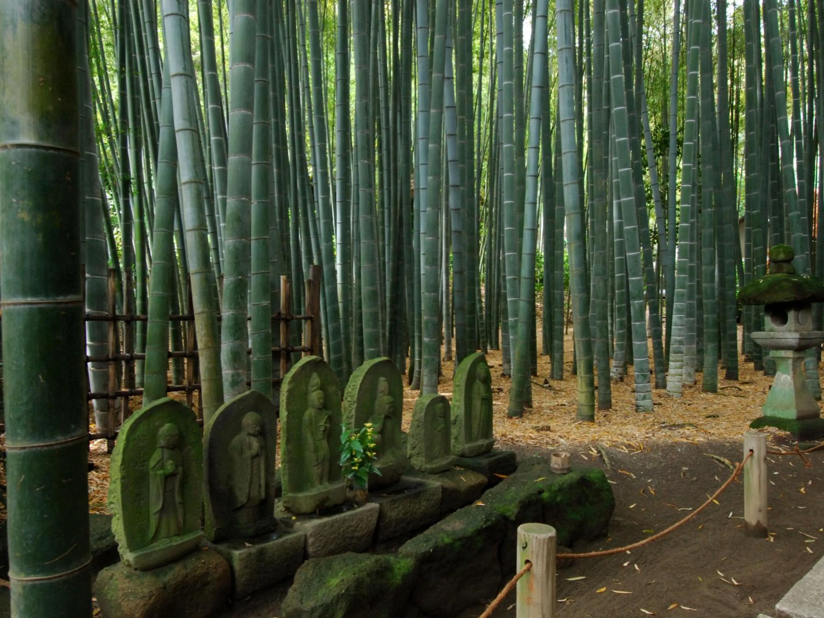 Nearby landmark in Kaihinsou Kamakura