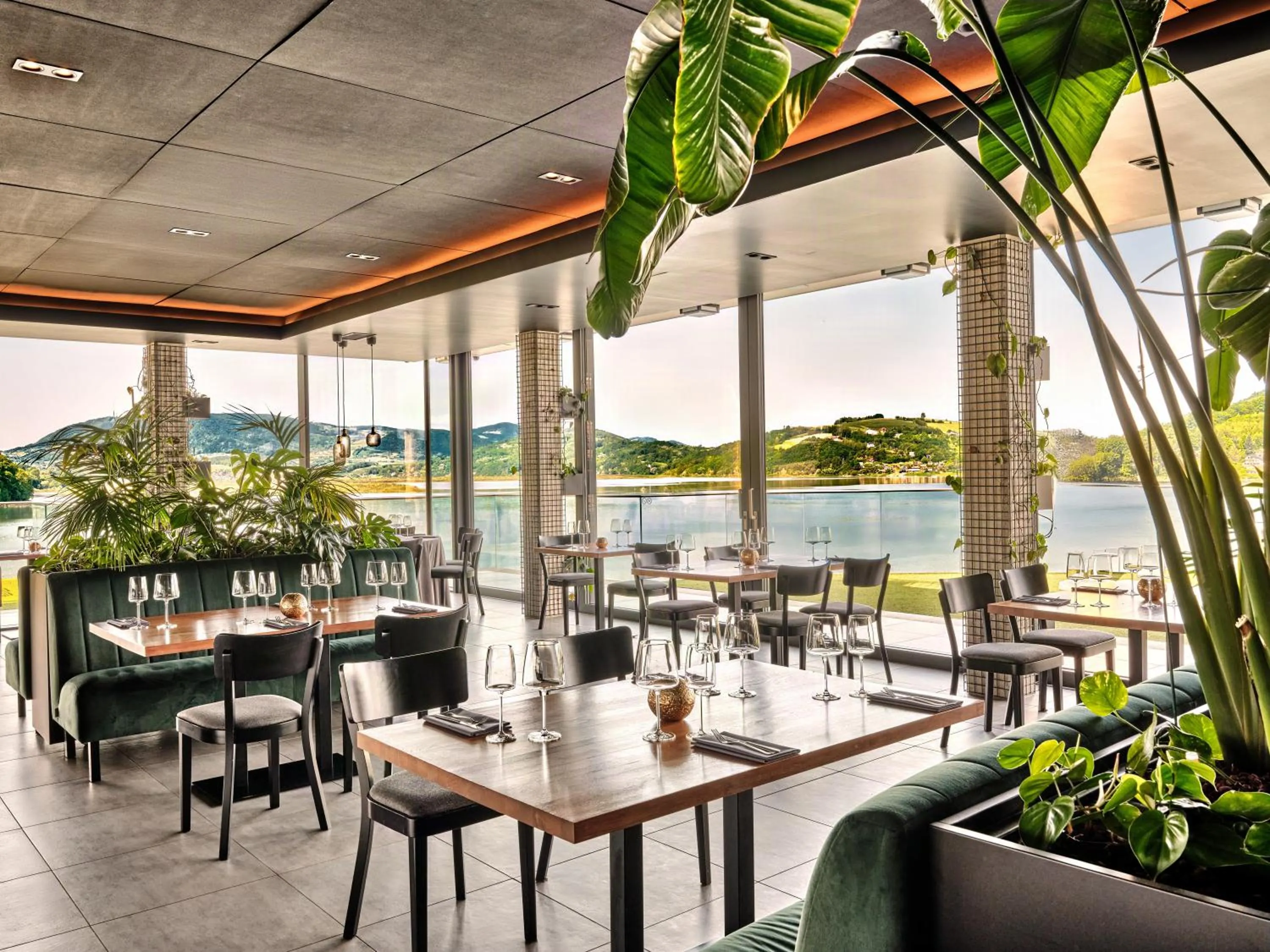 Restaurant/places to eat in Heron Live Hotel Marina & SPA