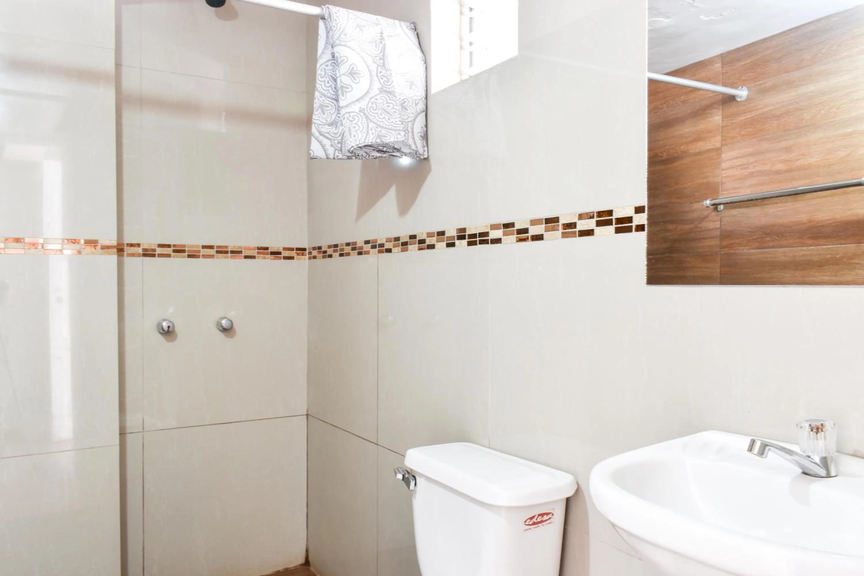 Shower in Apart Hotel El Puma