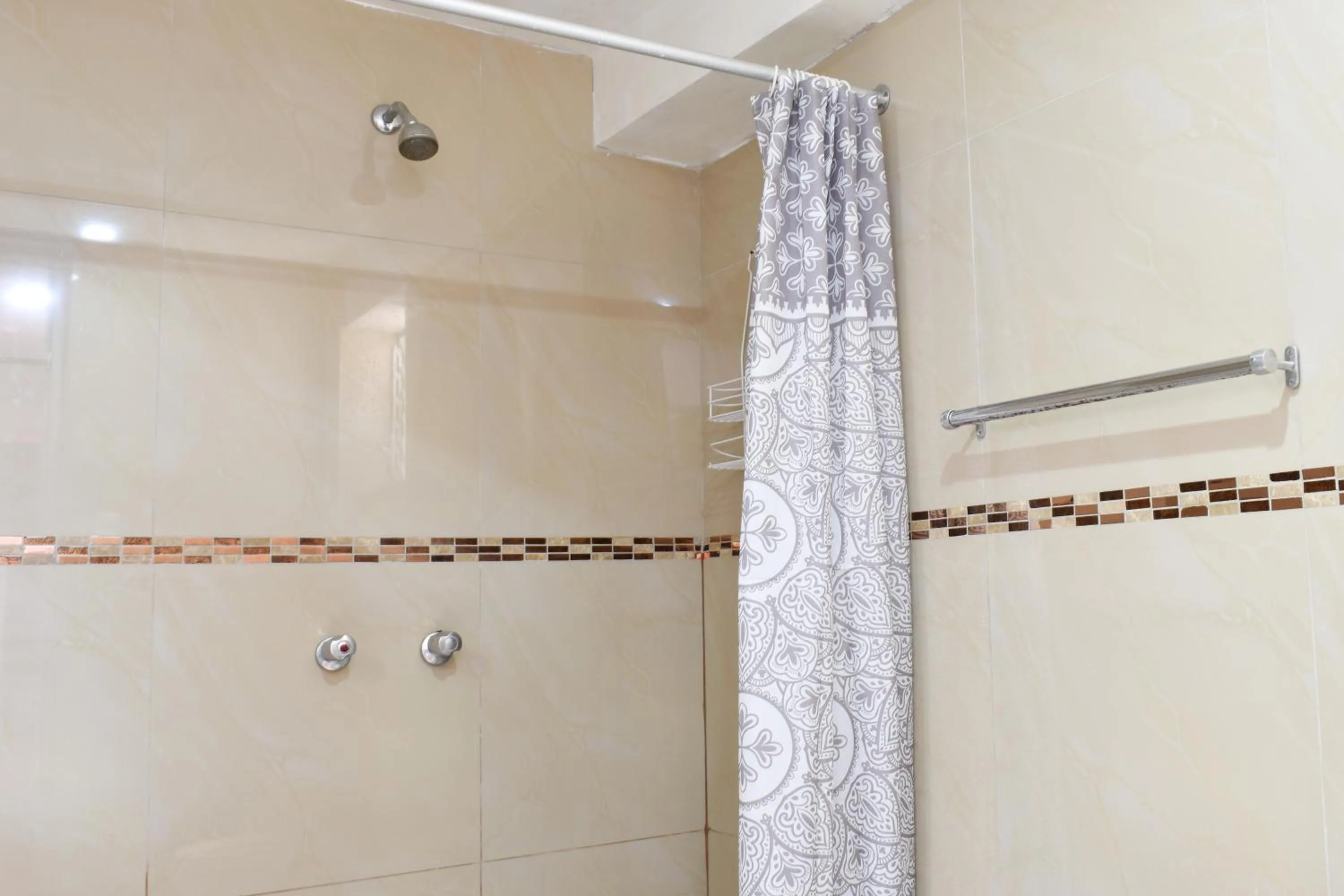 Shower in Apart Hotel El Puma