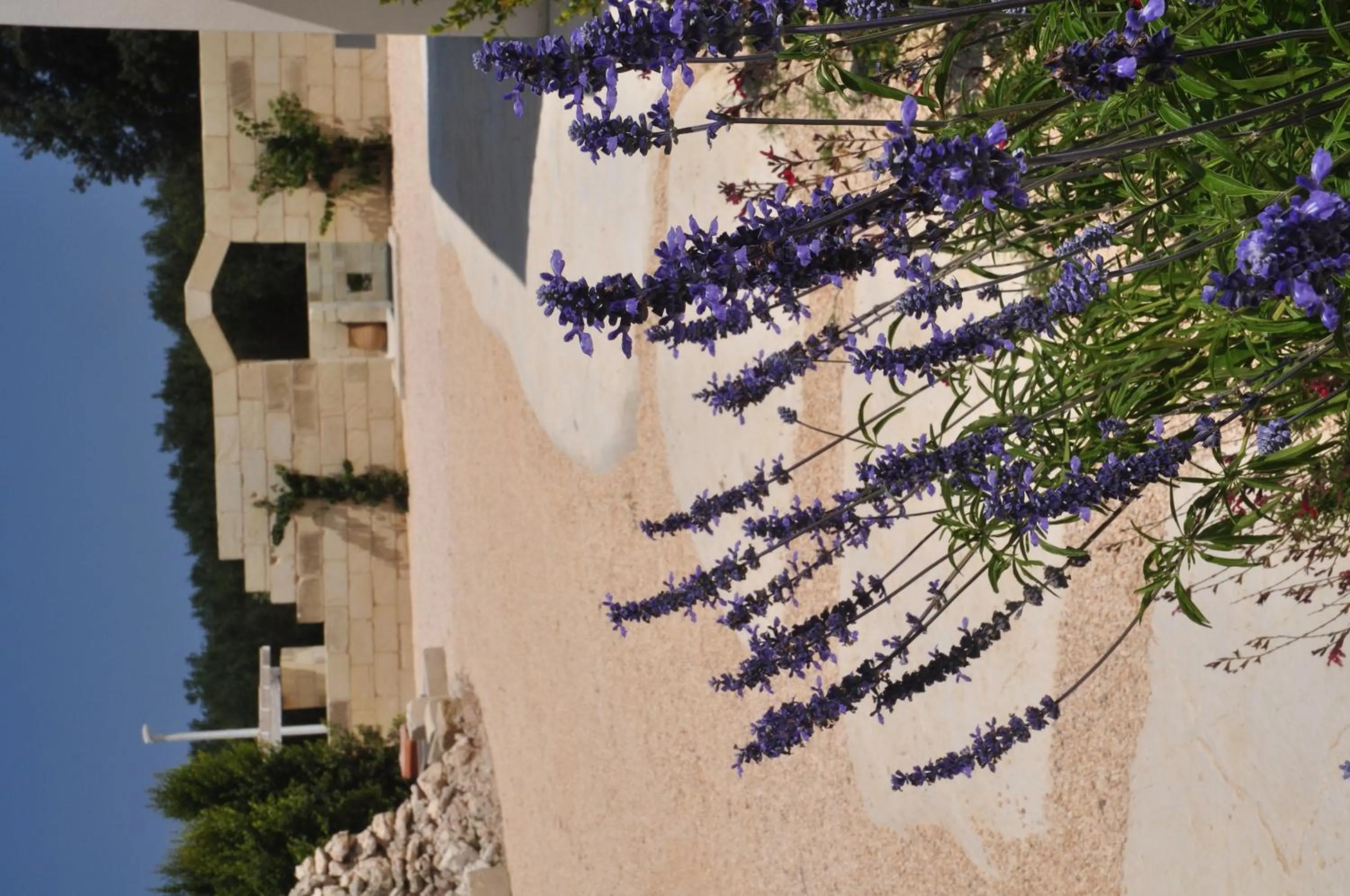 Garden in Agriturismo La Turrita