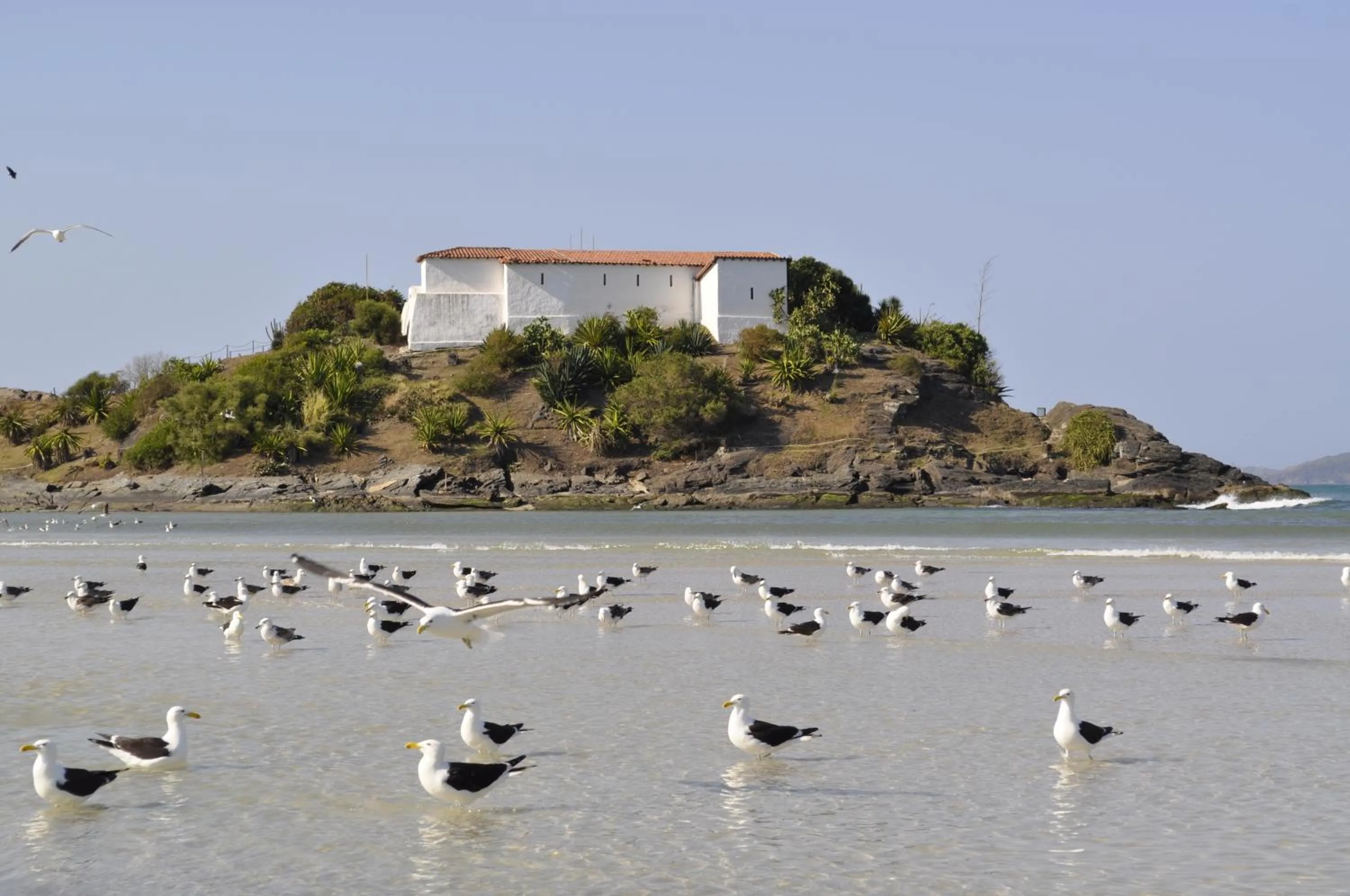 Beach in Canto da Arte - Hospedagem Domiciliar