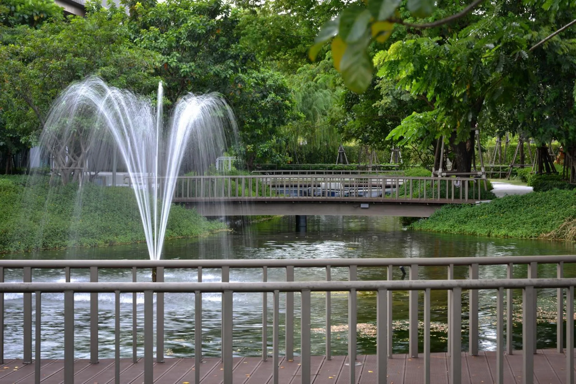 Garden in SENS Hotel