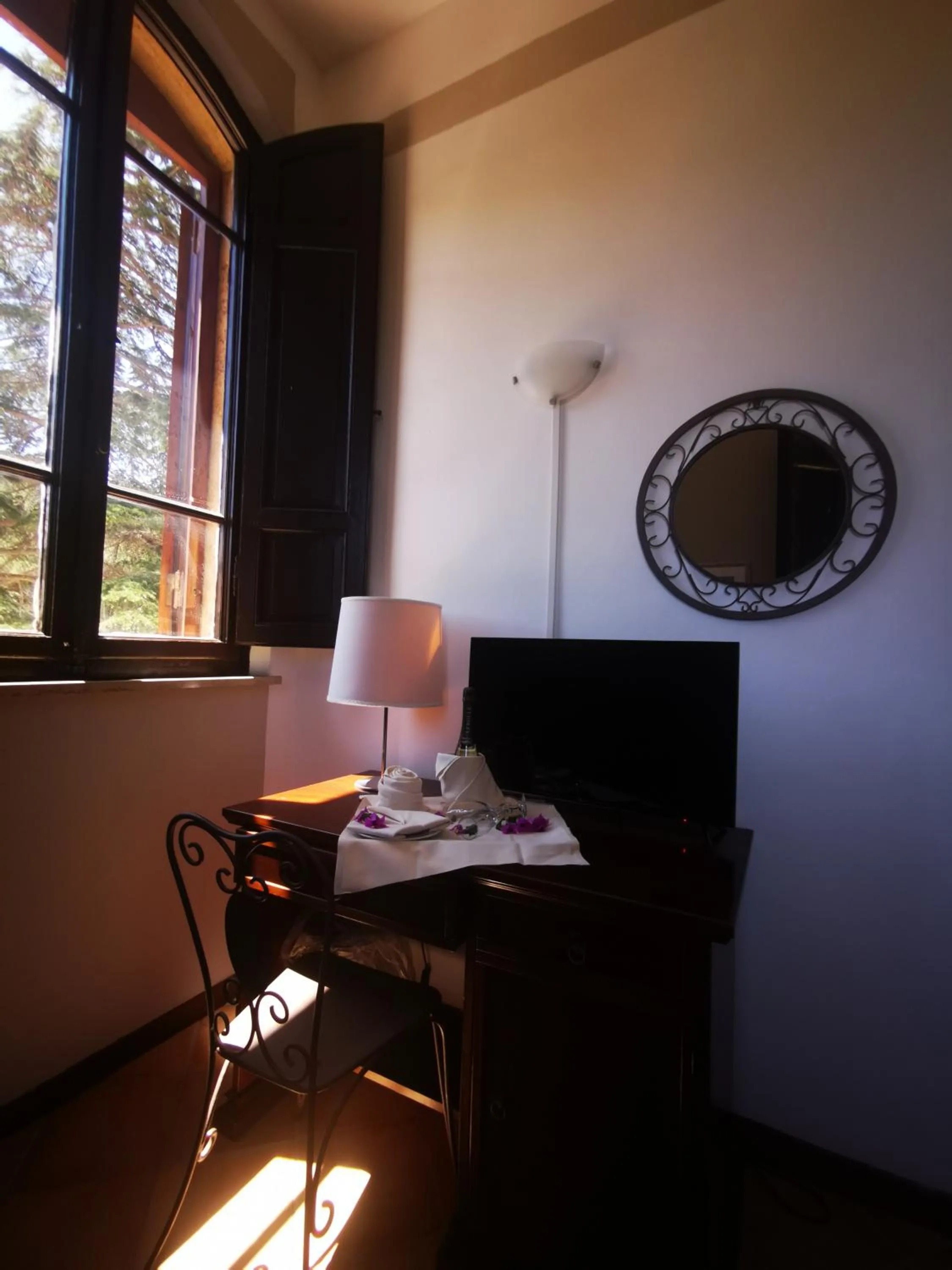 TV and multimedia in Park Hotel Napoleone