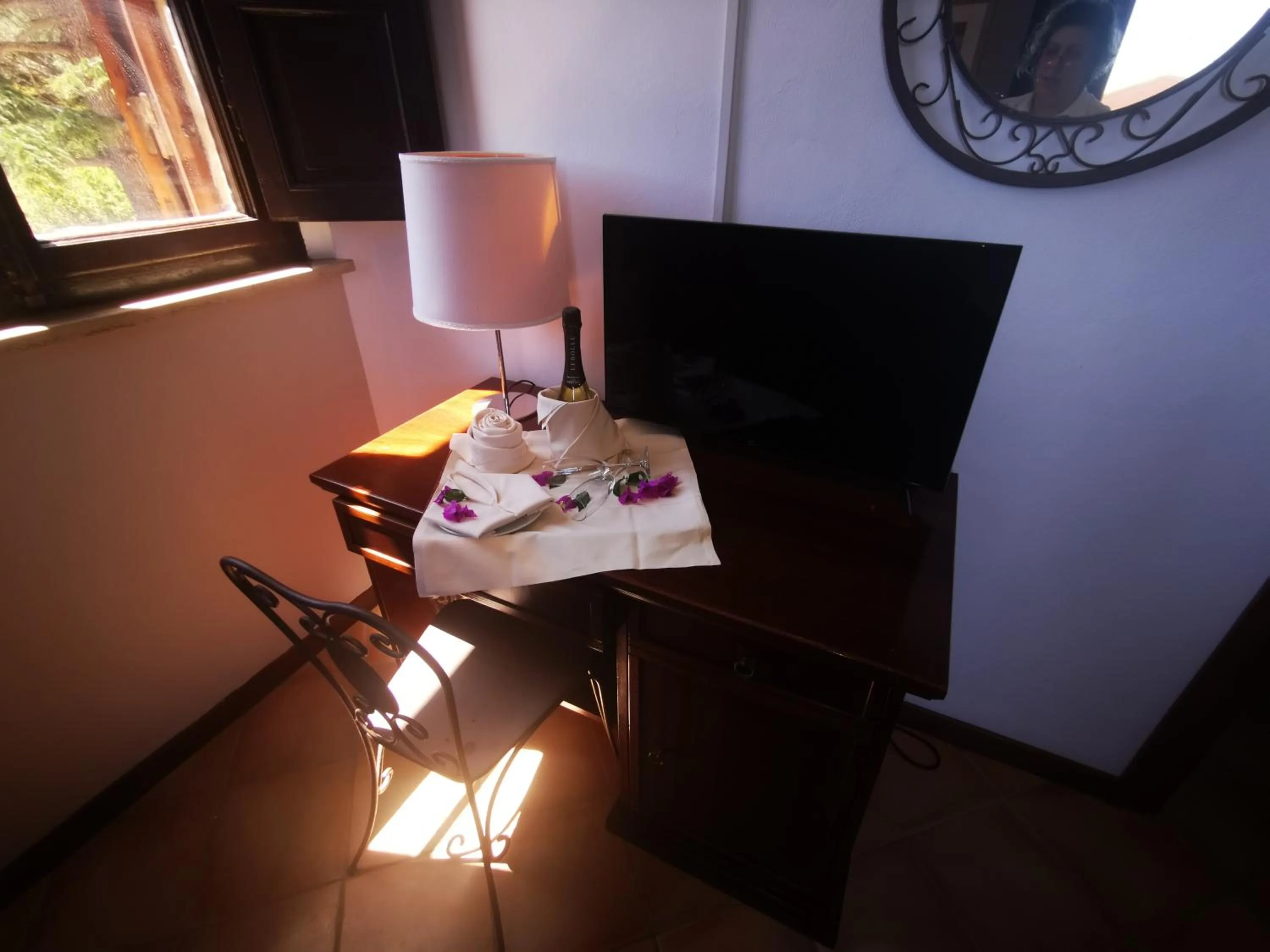 TV and multimedia in Park Hotel Napoleone