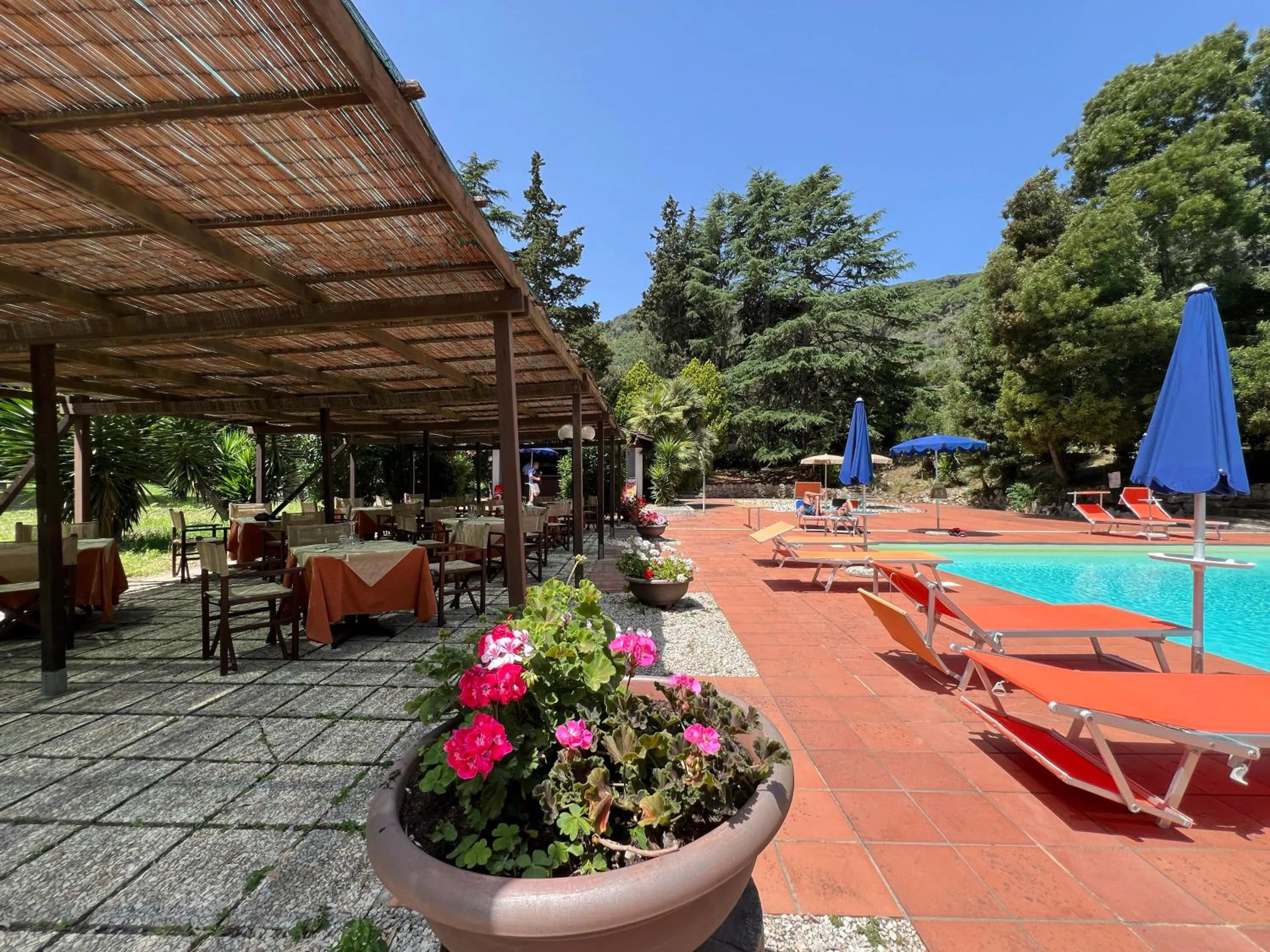 Swimming pool in Park Hotel Napoleone