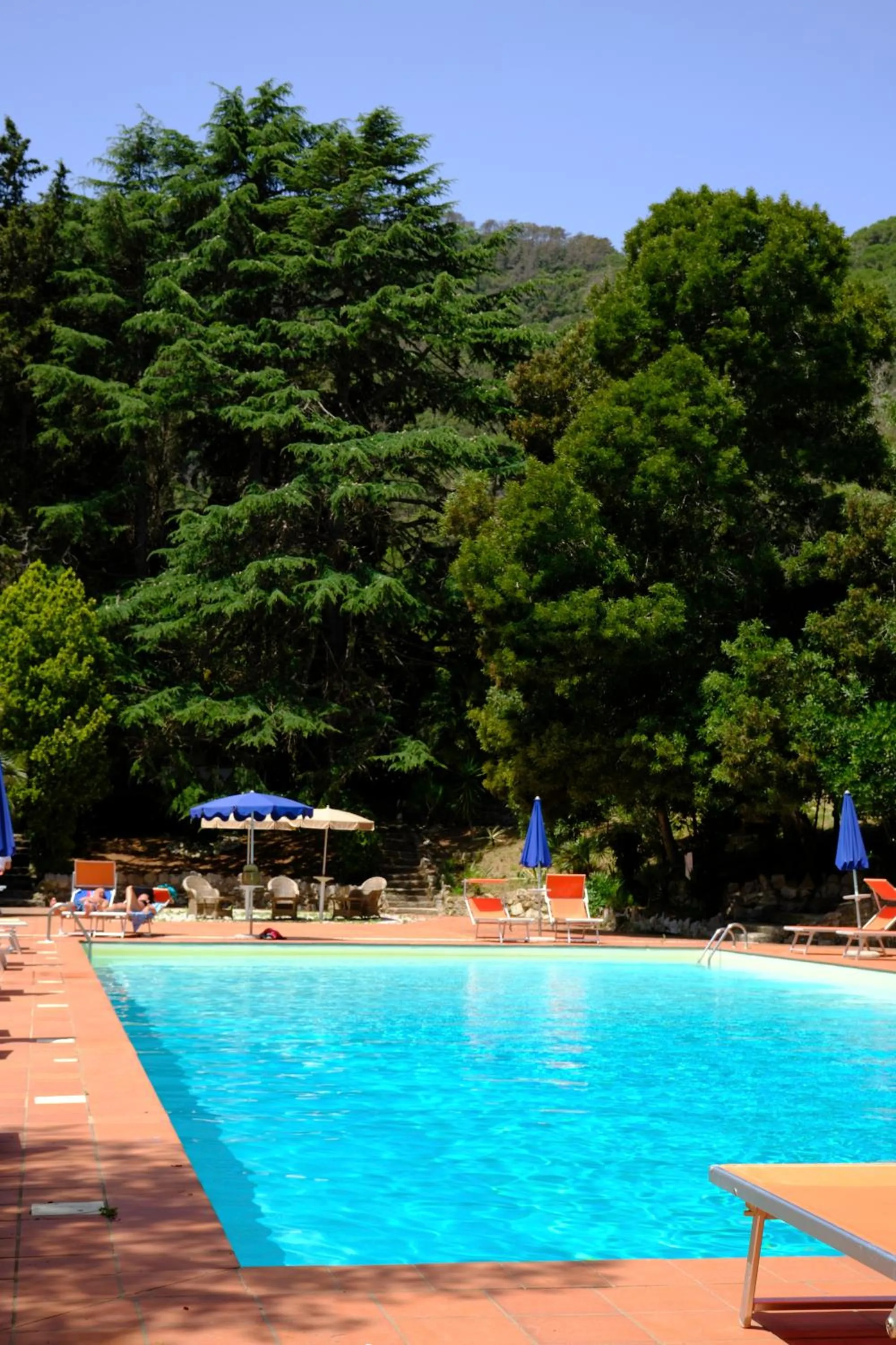 Swimming pool in Park Hotel Napoleone
