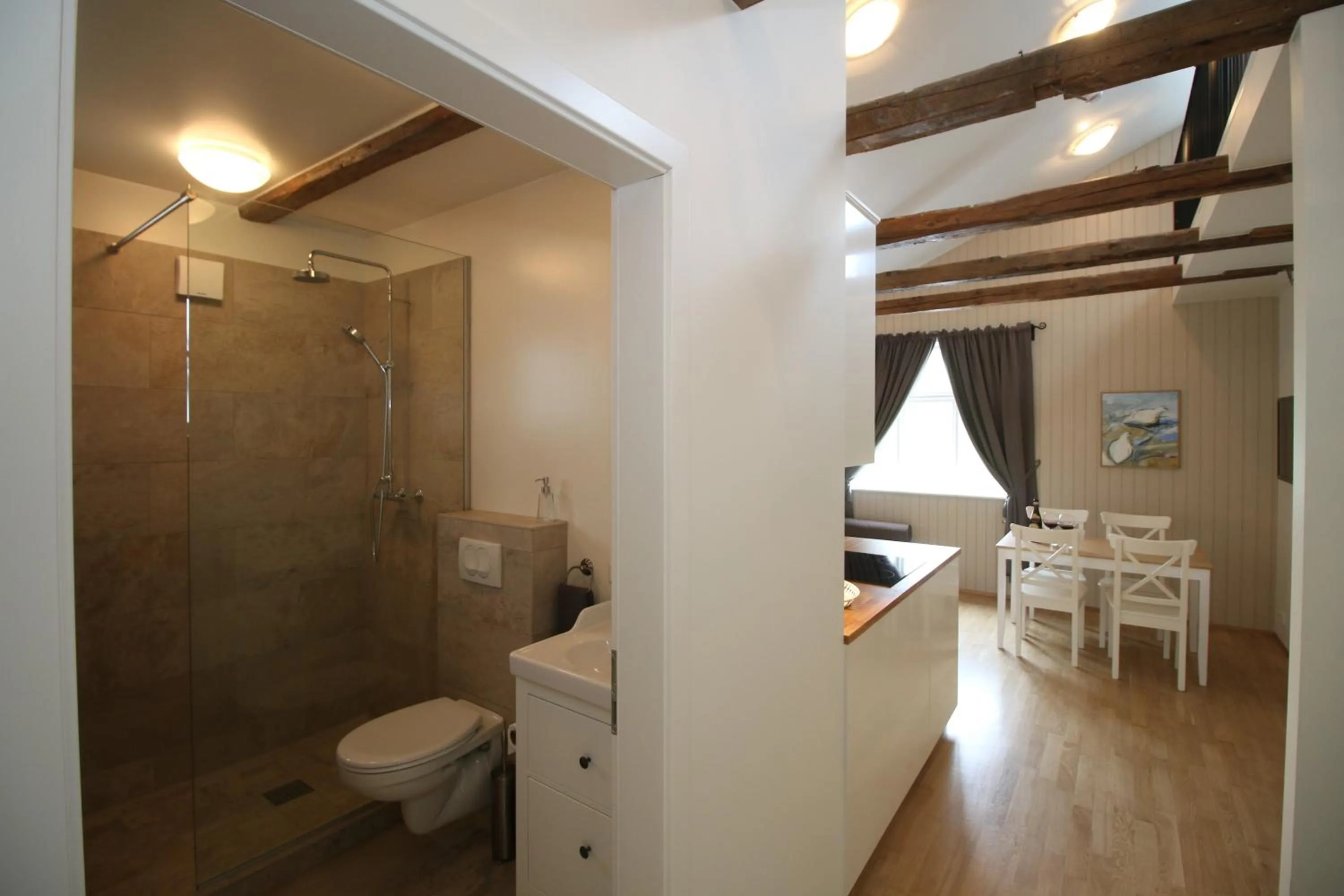 Shower in Acco Ice Apartments