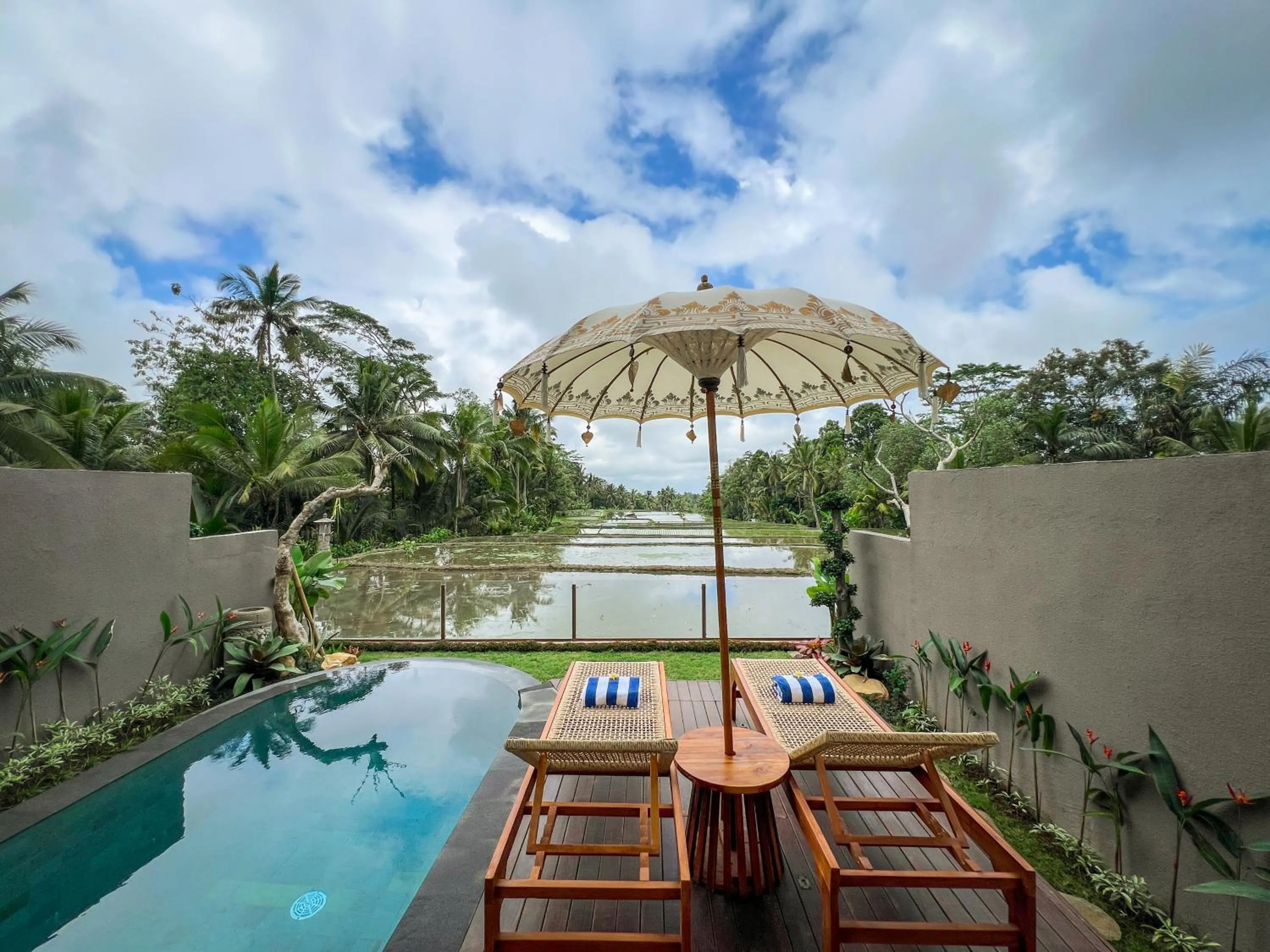 Day in Ascarya Ubud