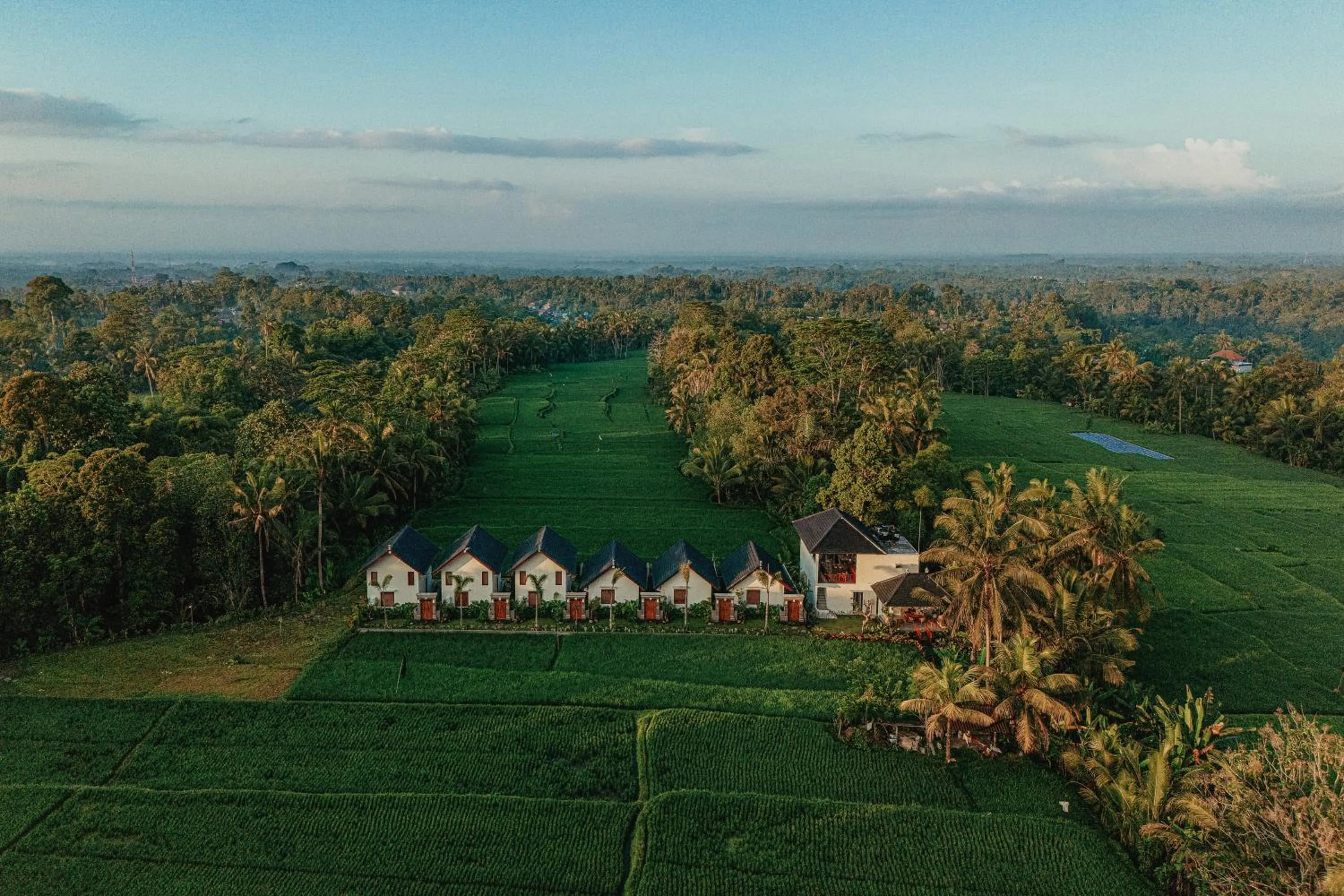 Bird's eye view in Ascarya Ubud