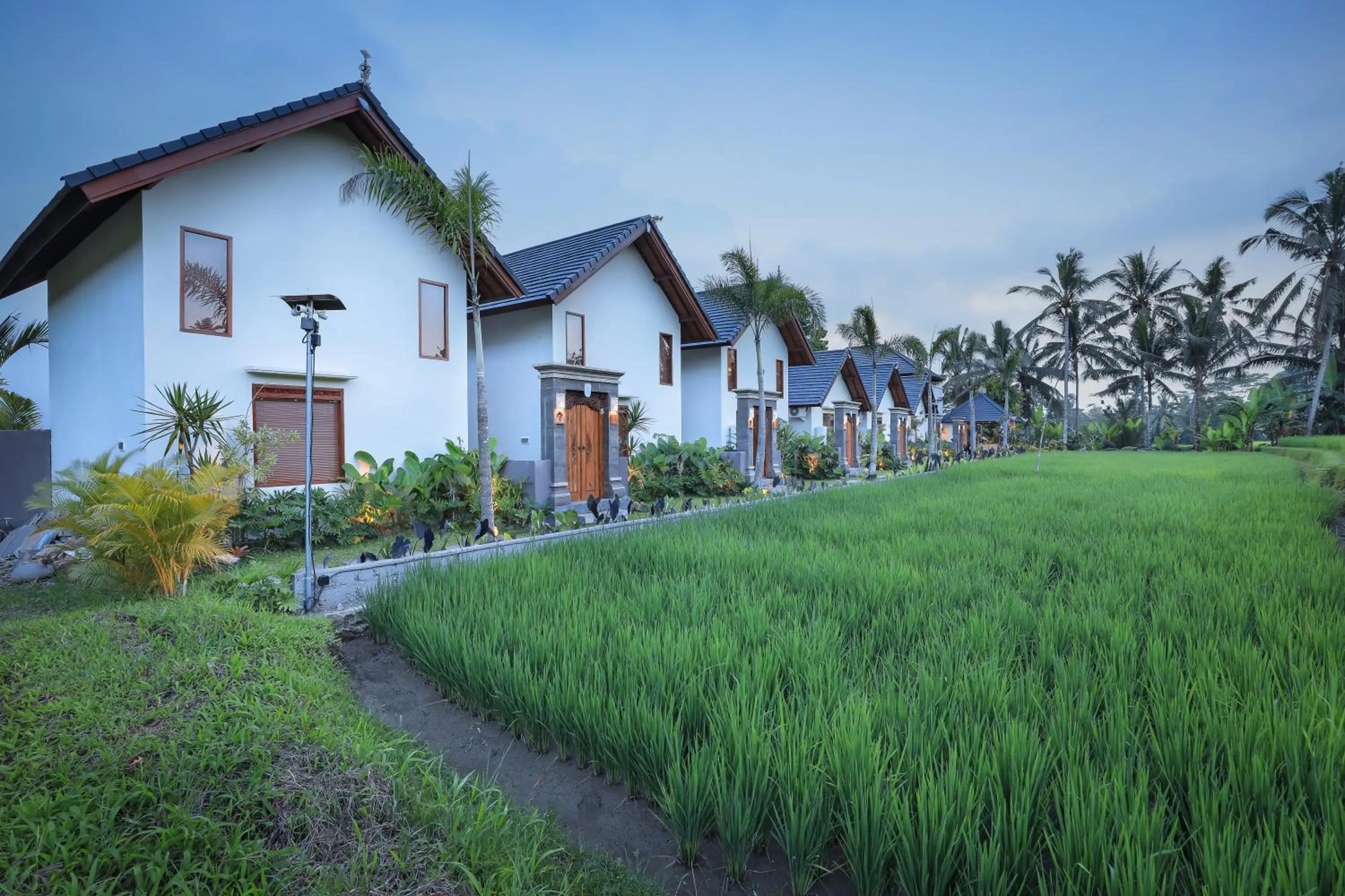Property building in Ascarya Ubud